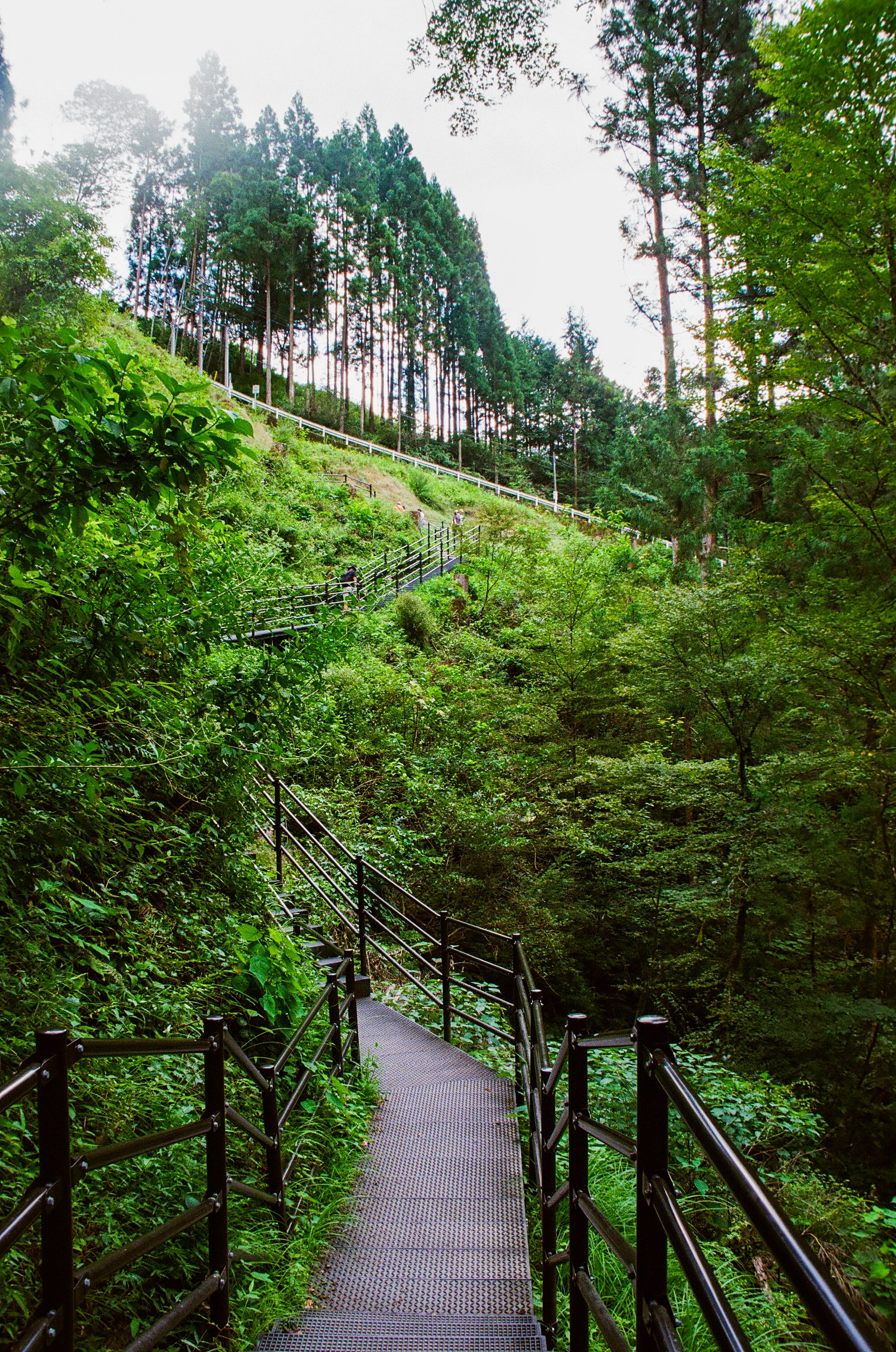 edit (96 of 108).JPG