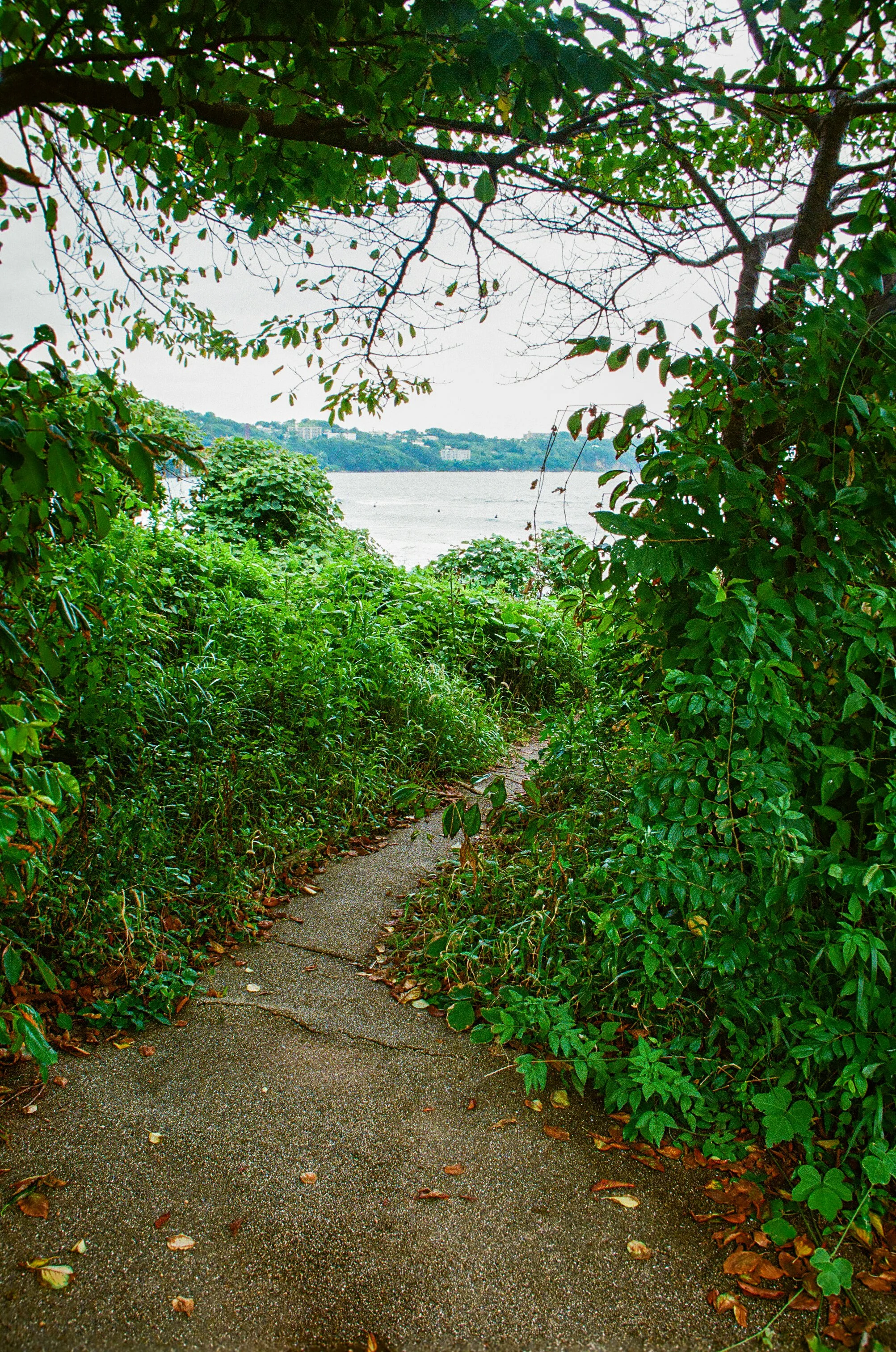 edit (31 of 108).JPG