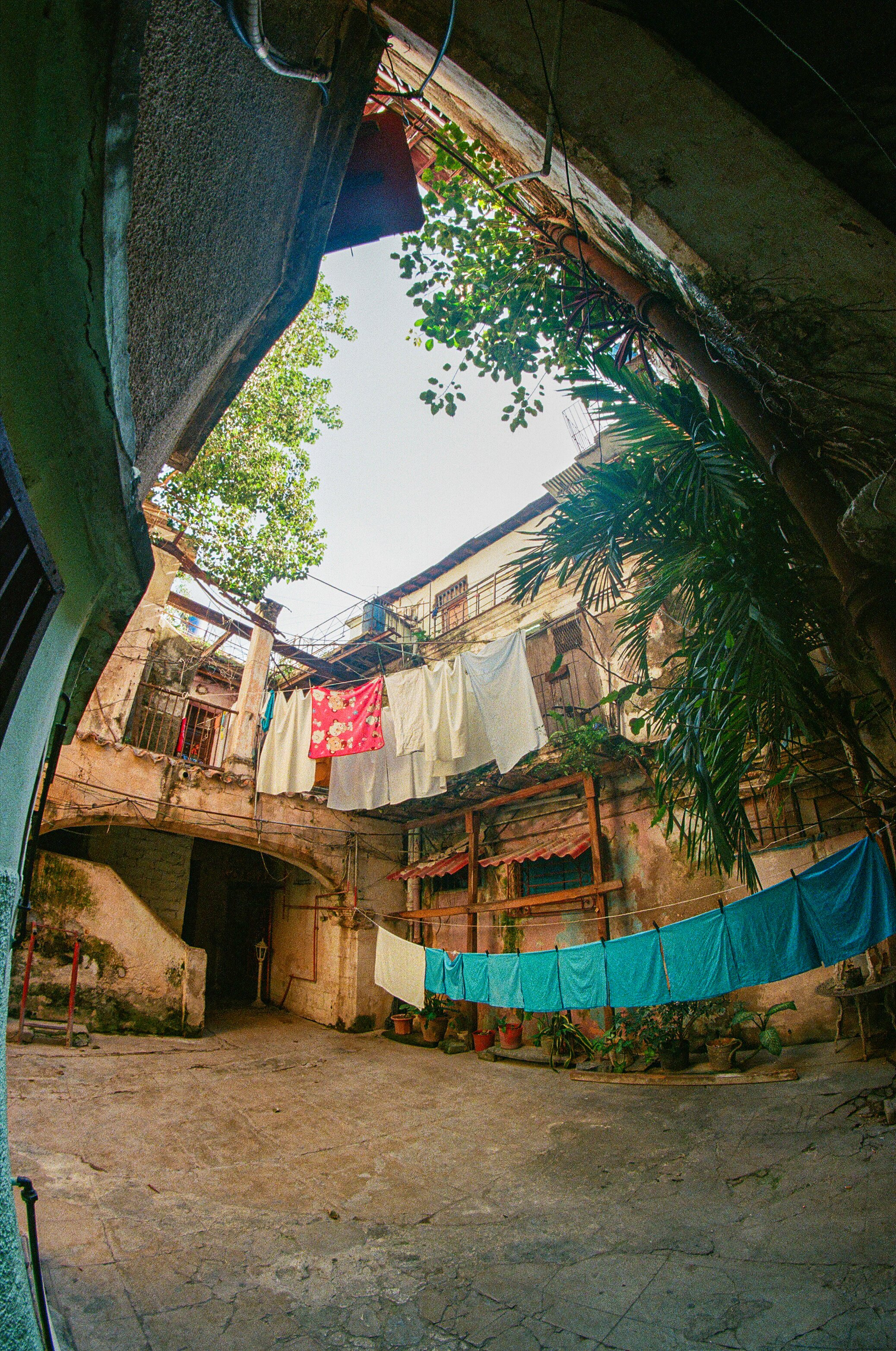 edit (5 of 34).JPG