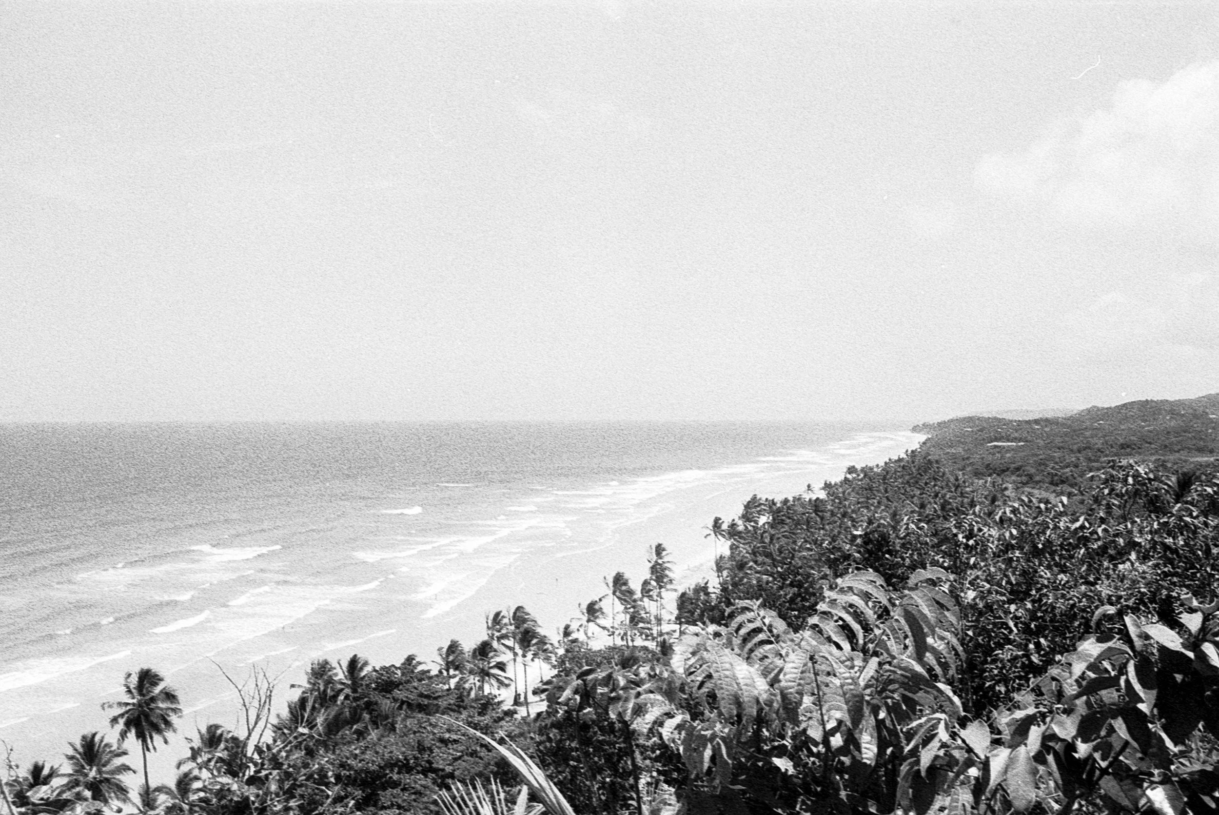 edit (28 of 35).JPG