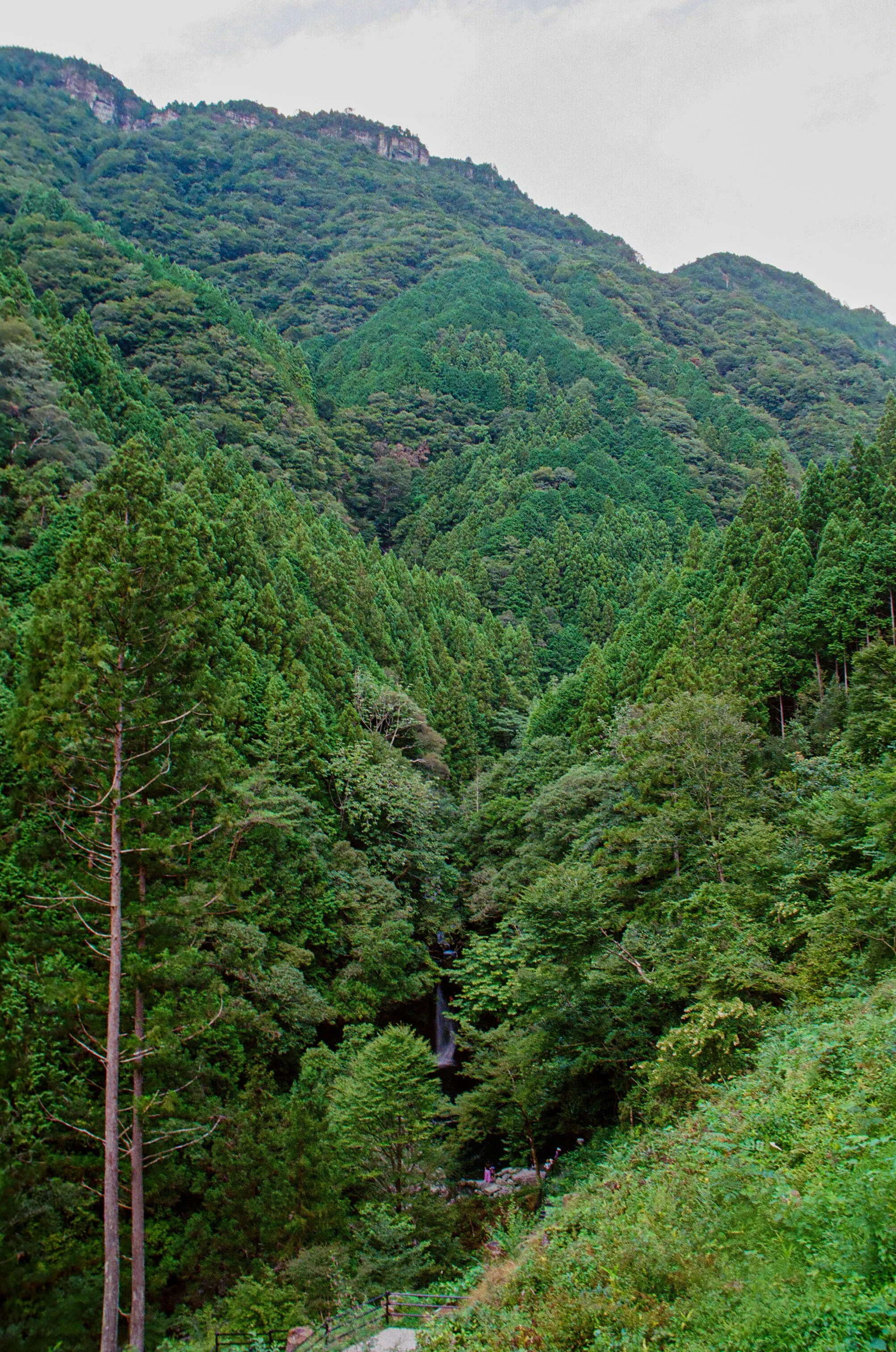 edit (98 of 108).JPG