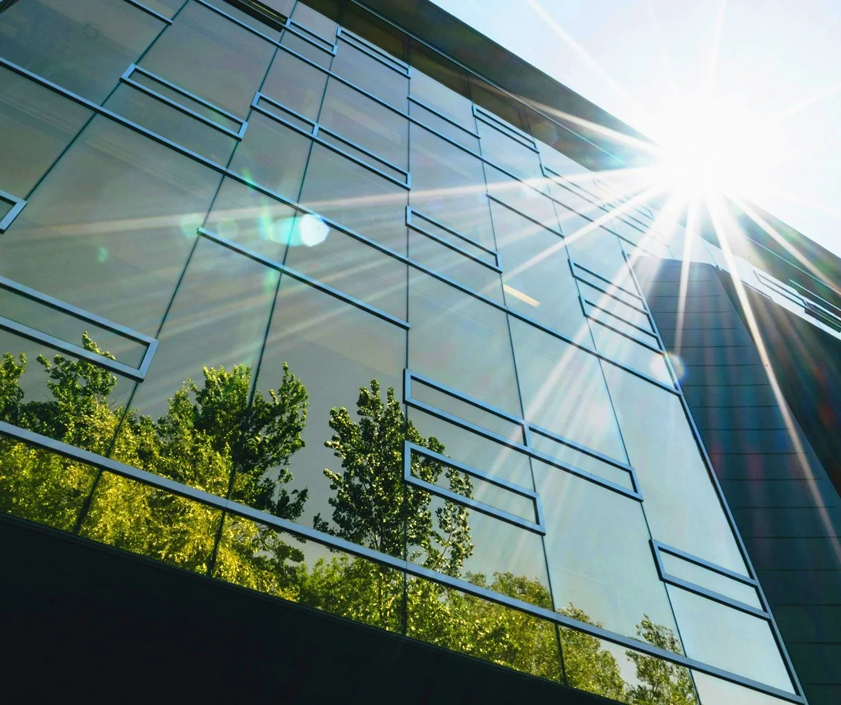 The Leadership Reset: How Corporates Must Evolve by 2026