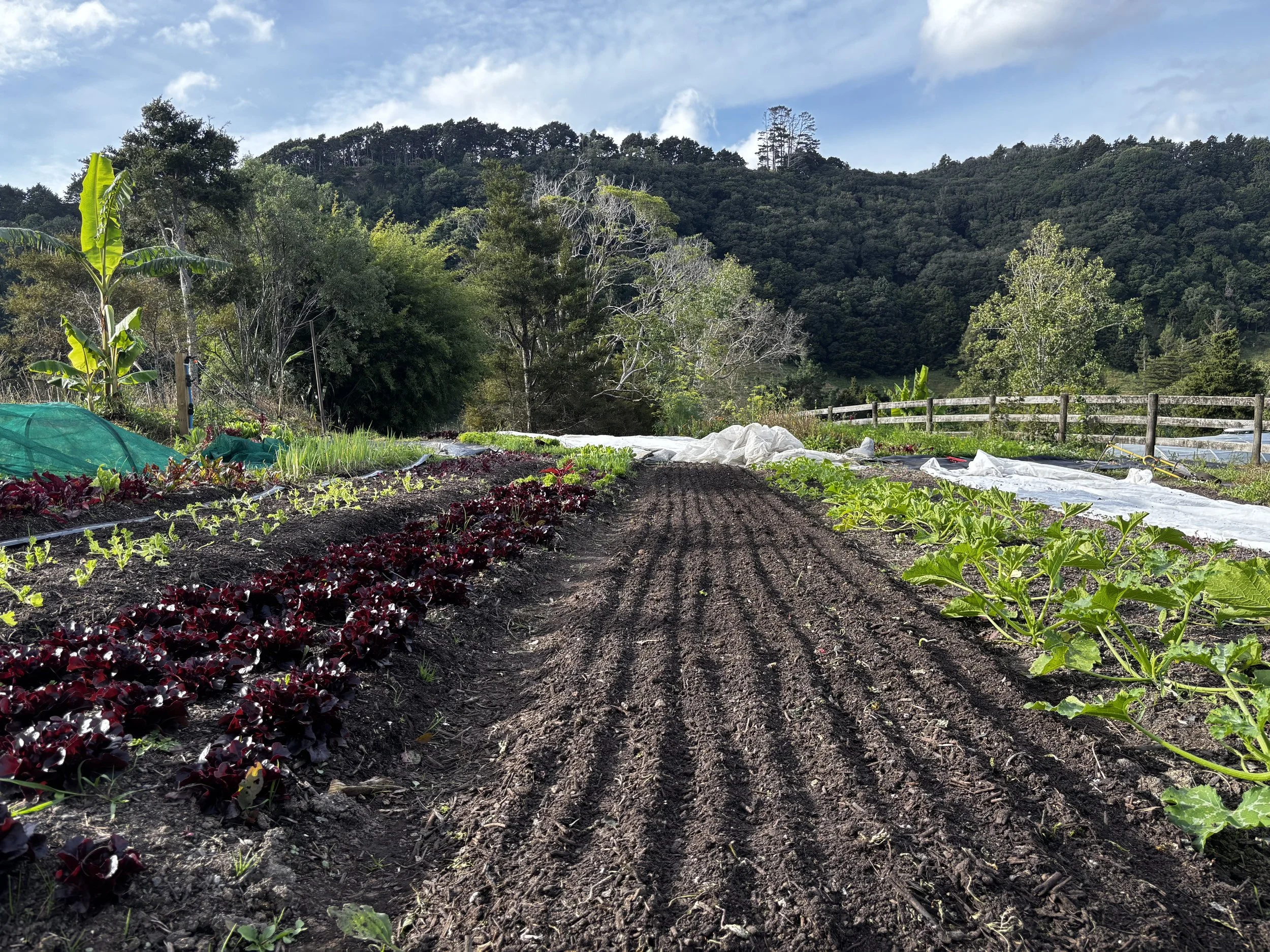 Garden Walk and Tasting Tour - May 17