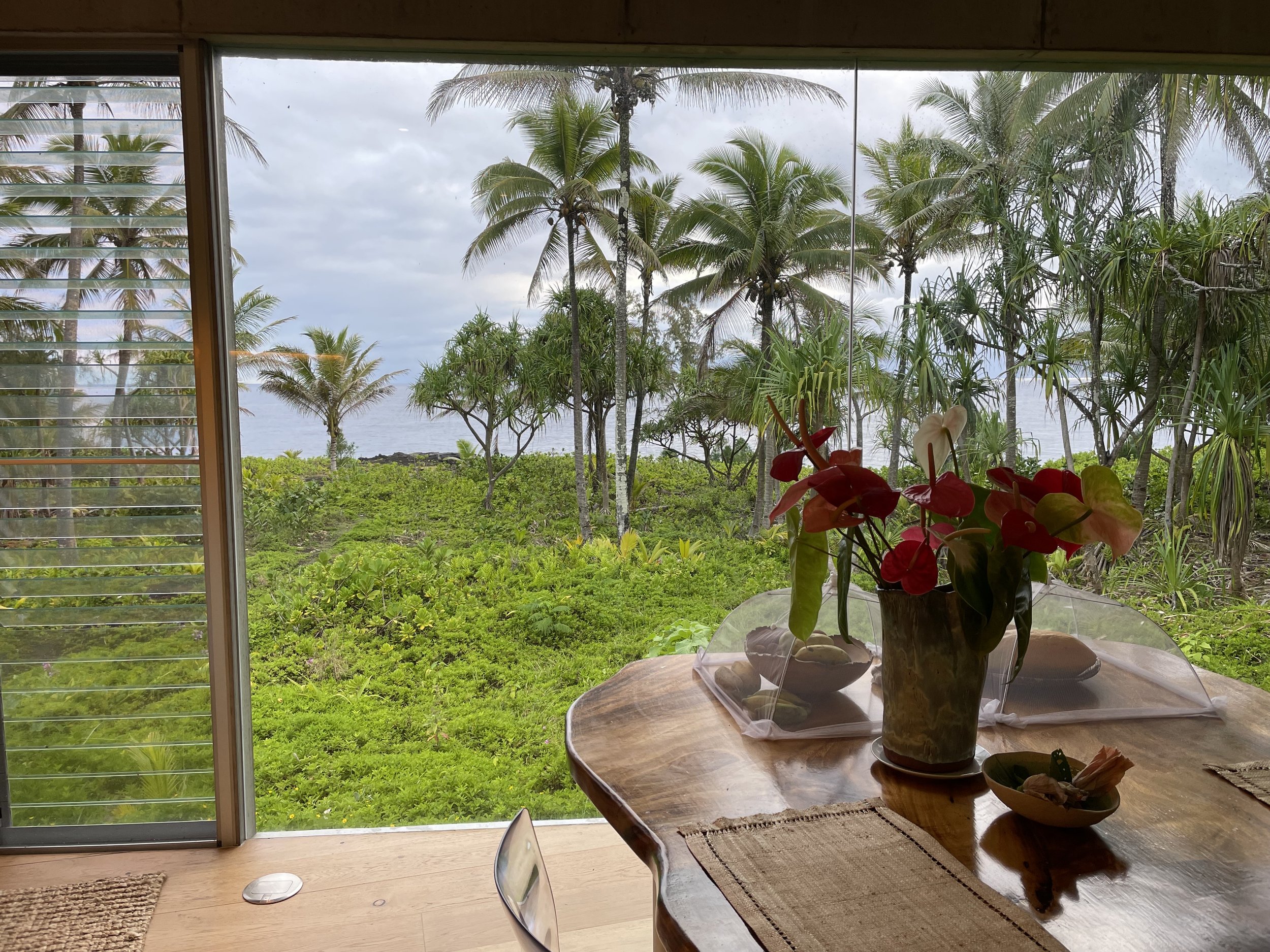 view from the dining room