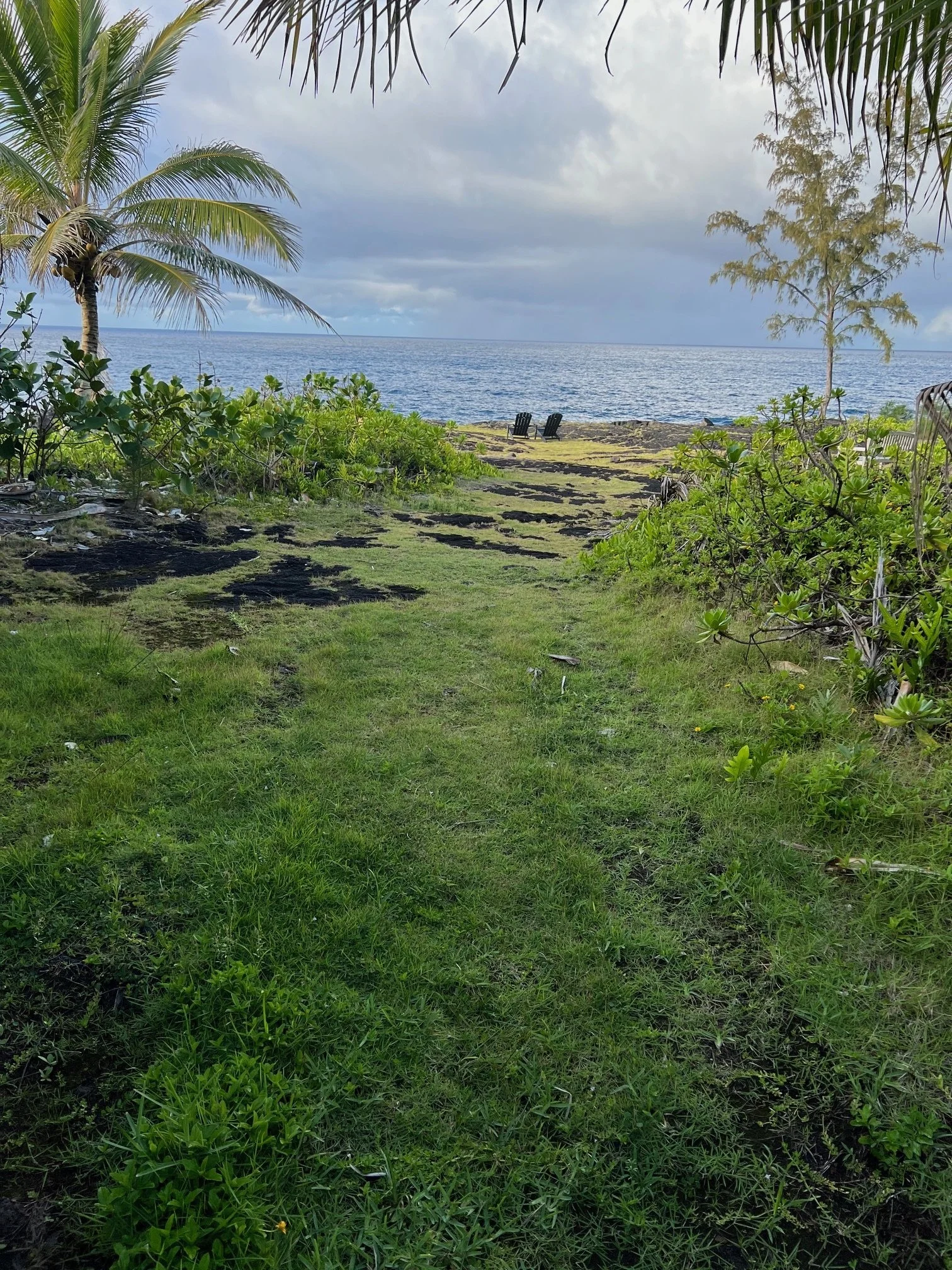 ocean view from the cliff