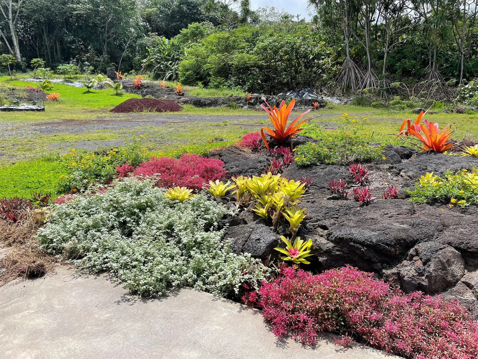 side garden