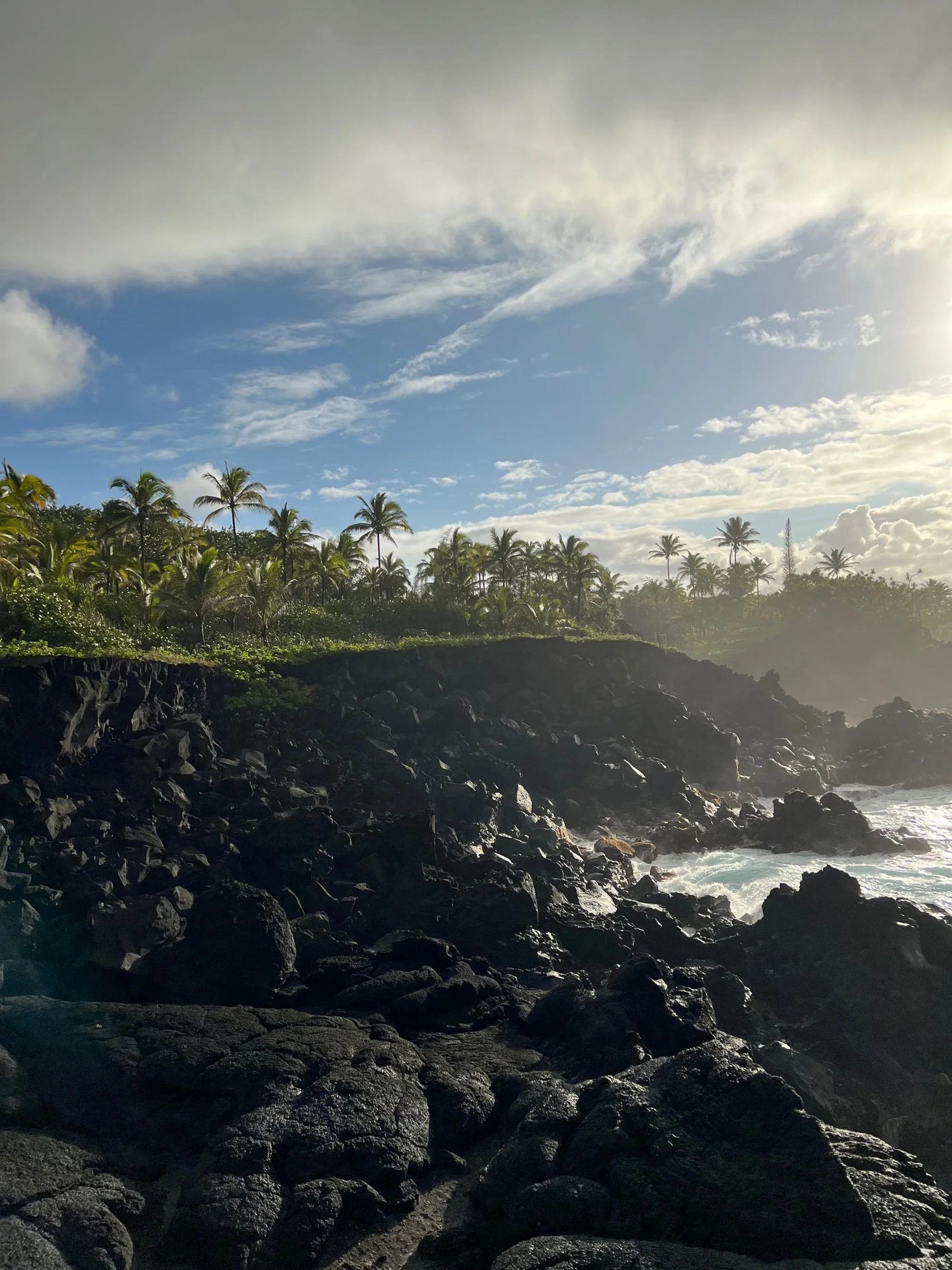 coastal view from the cliff
