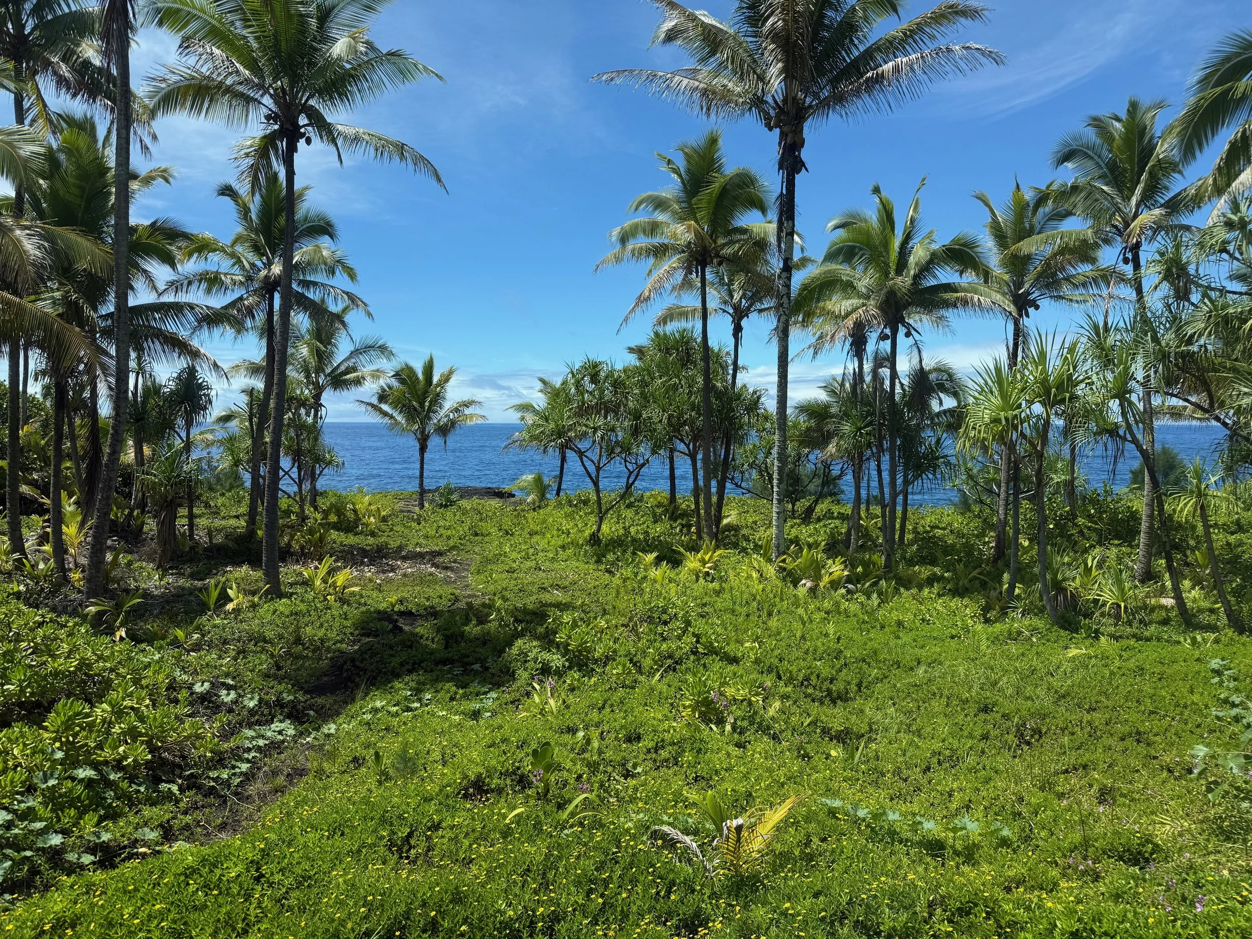ocean view