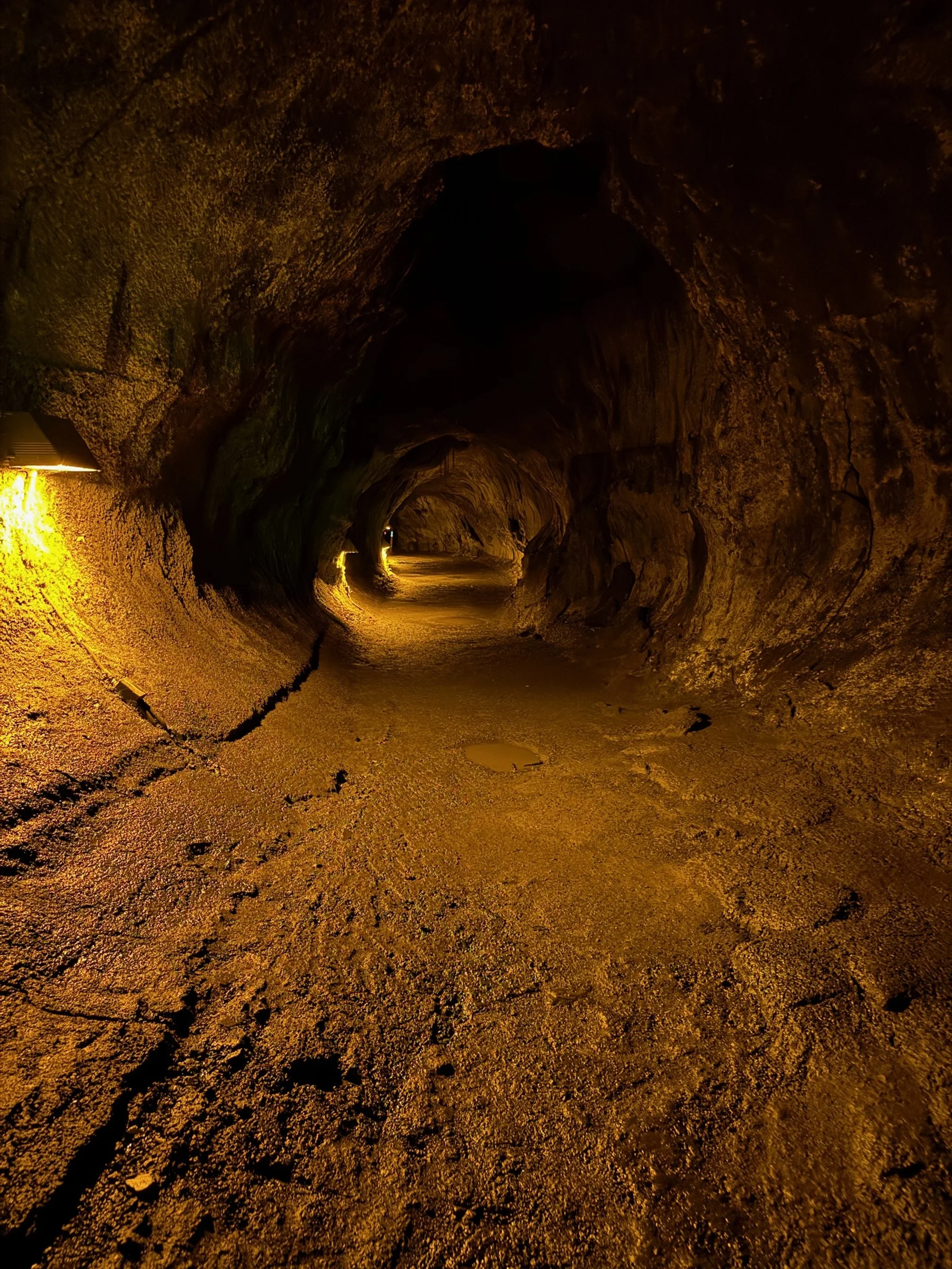lava tube (in Volcano National park)