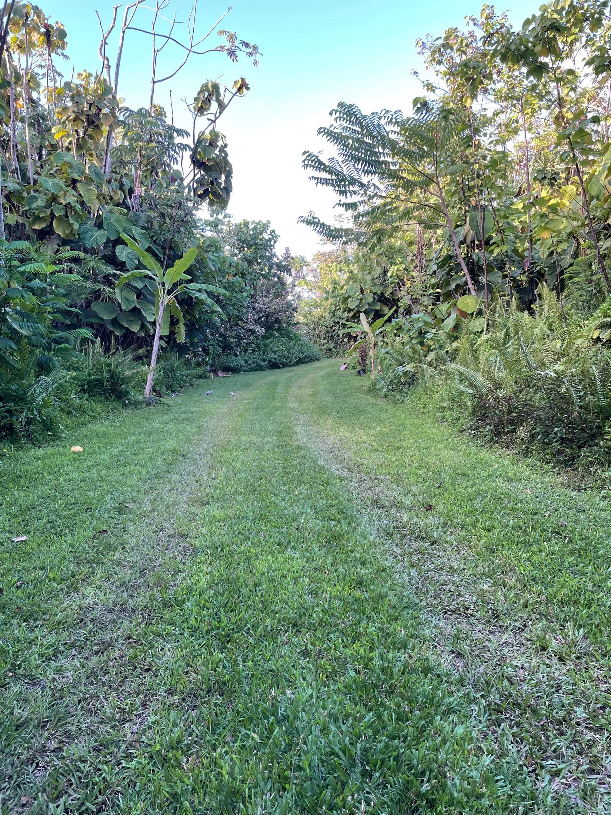 driveway