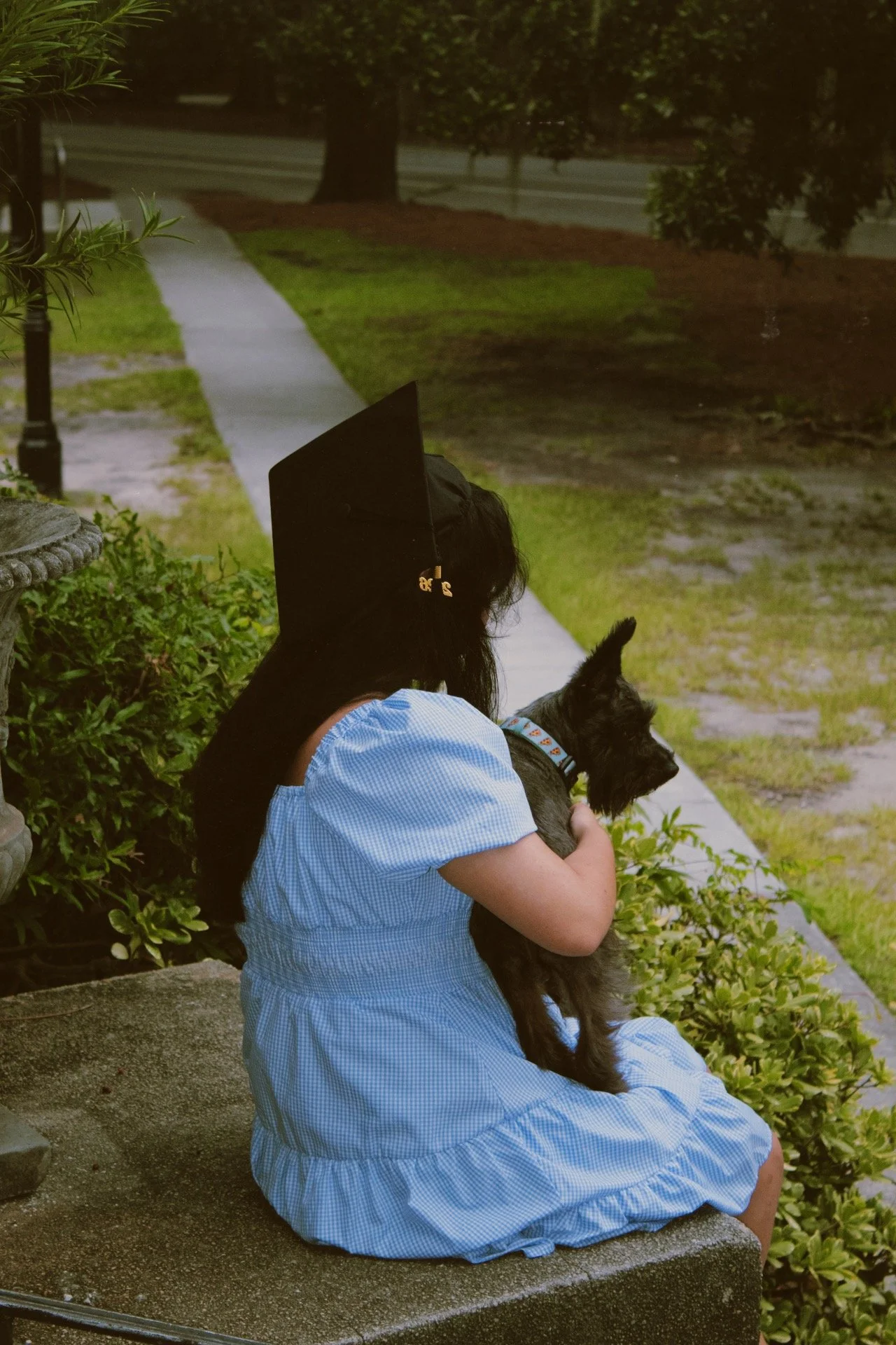 A young girl in a blue dress sitting on a bench holding a small black dog with pointed ears, near a sidewalk in a green park.