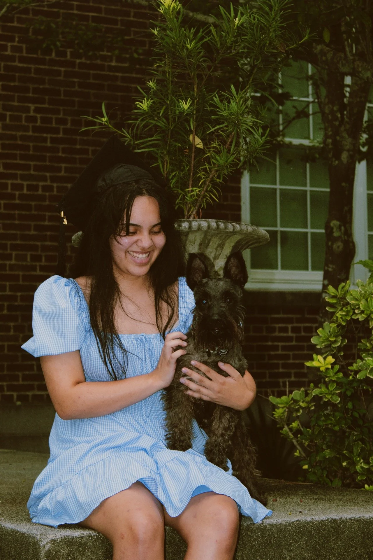 A woman in a blue dress with a graduation cap holding a small dog, sitting outside near a brick wall and greenery.