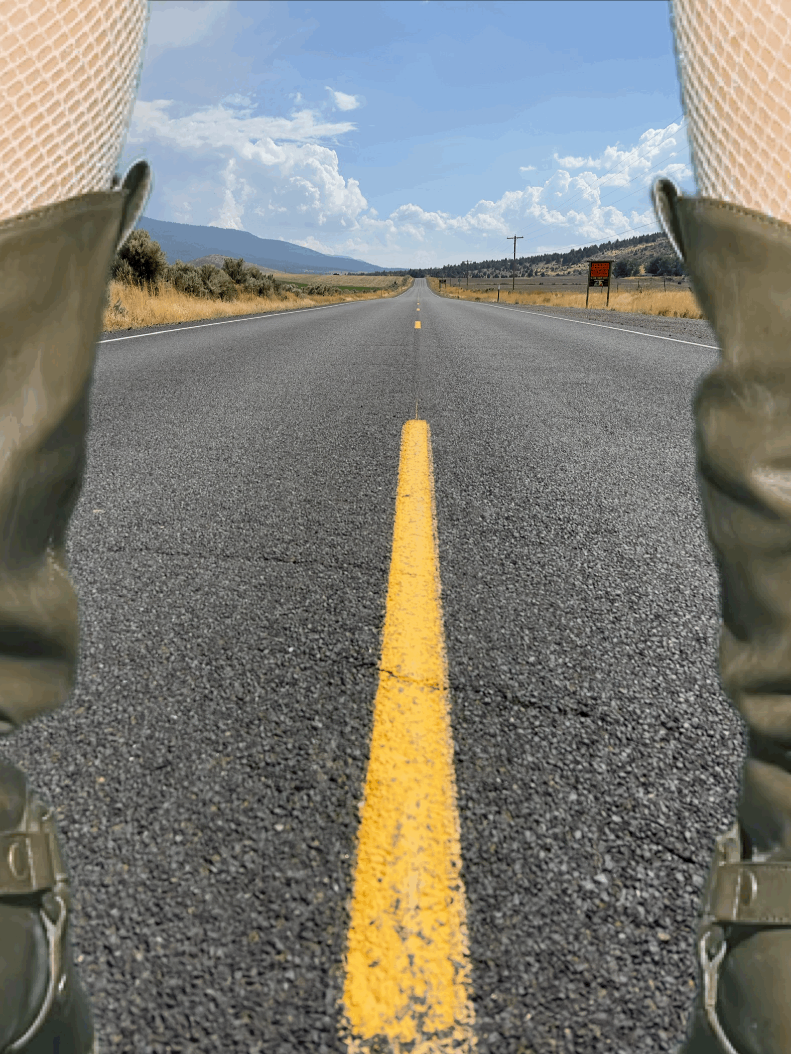 Book Cover Brain-Chaos