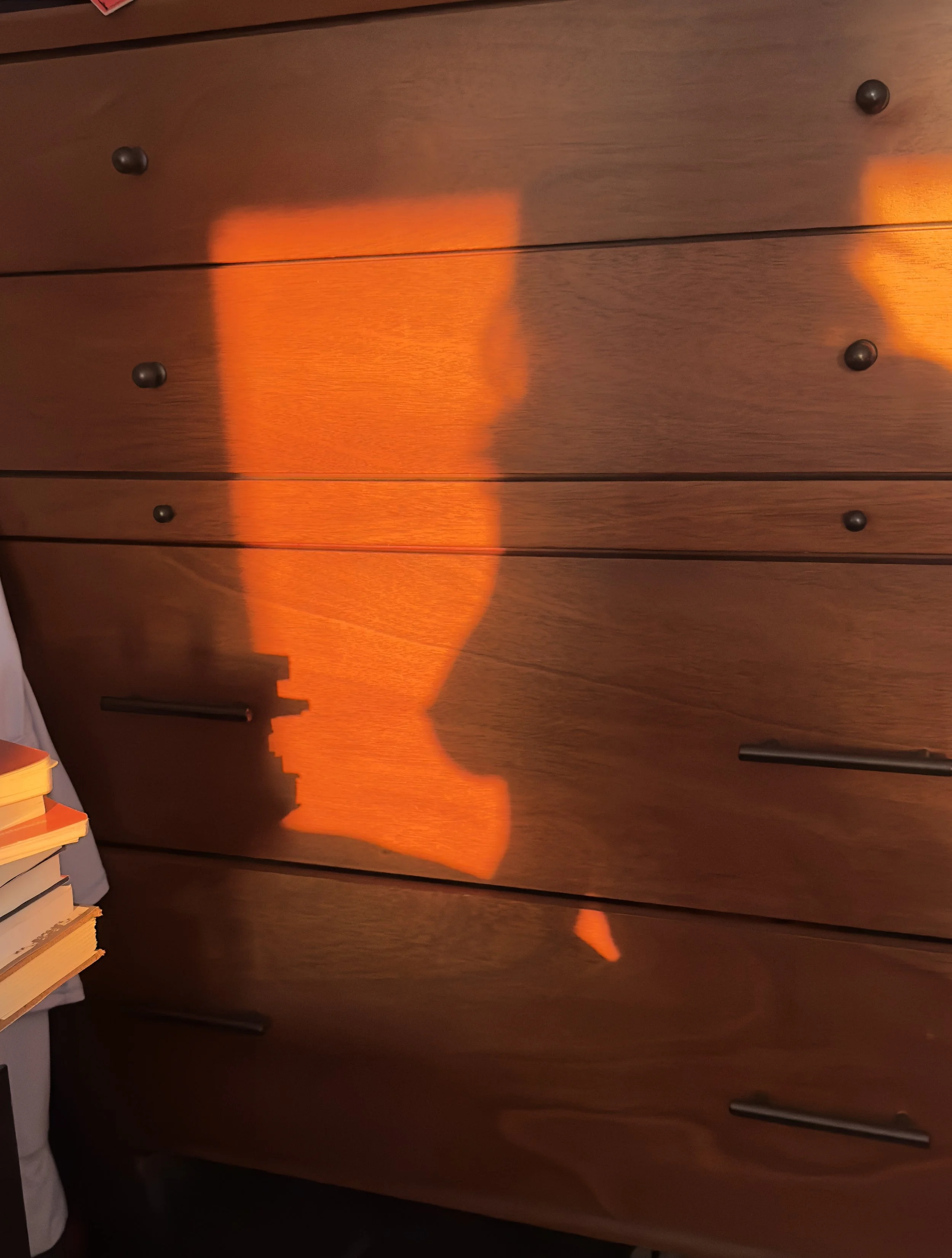 Shadow Play