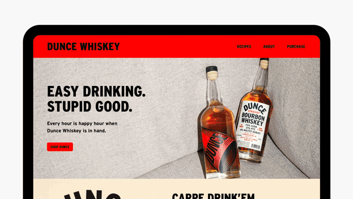 0267_DNCE_WebsiteMock_LR.gif