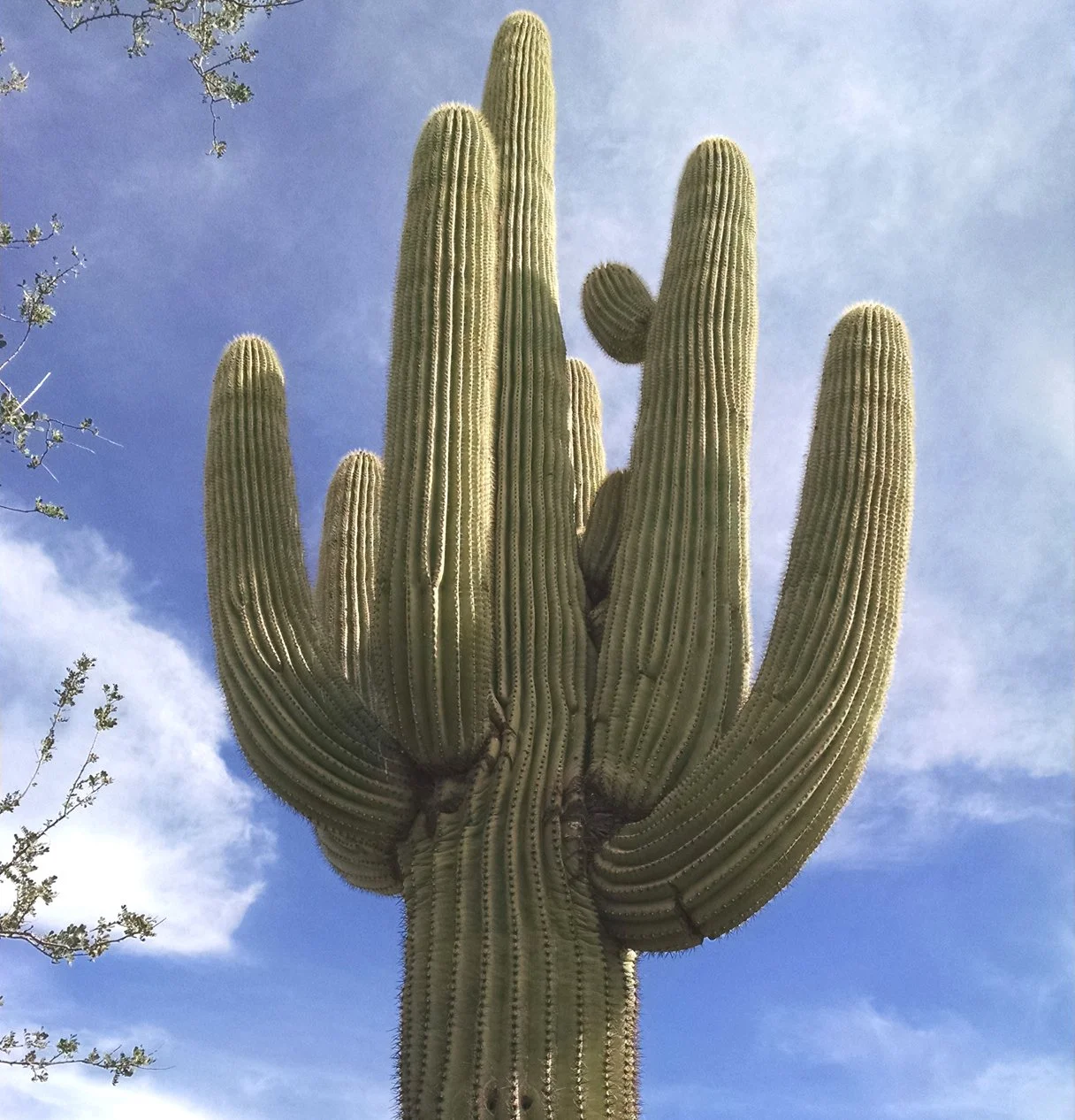 Plan Drawing Level 1