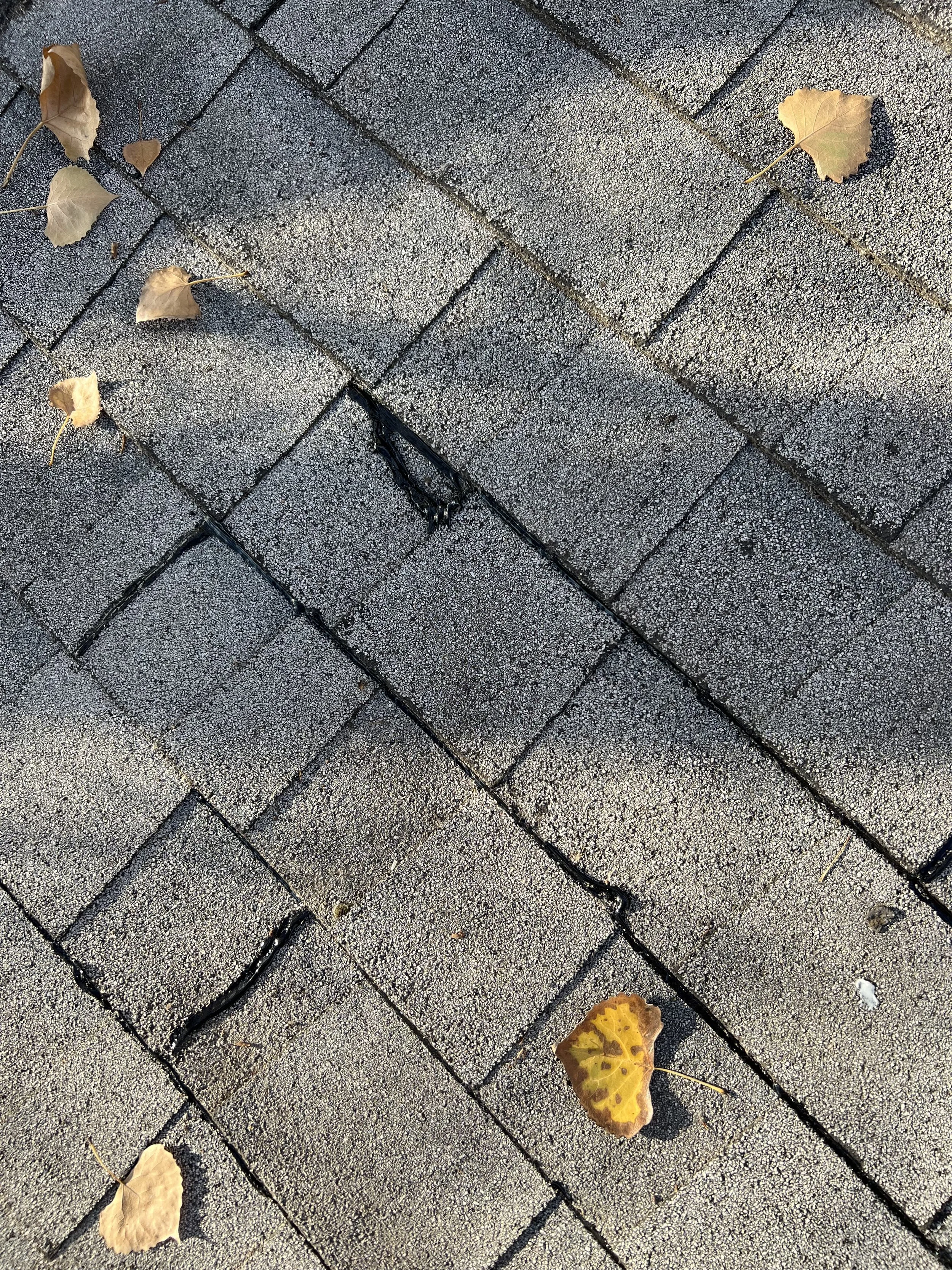 What Causes Roof Leaks and How to Prevent Them