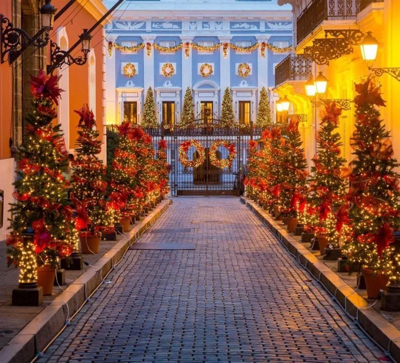 Migration, Family, and Celebrations