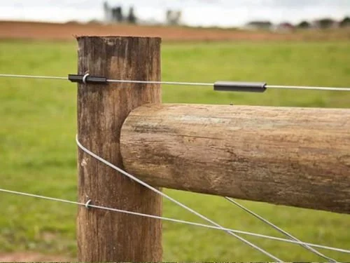 Close-up of wooden fence post with wire and insulators, on a grassy field background.