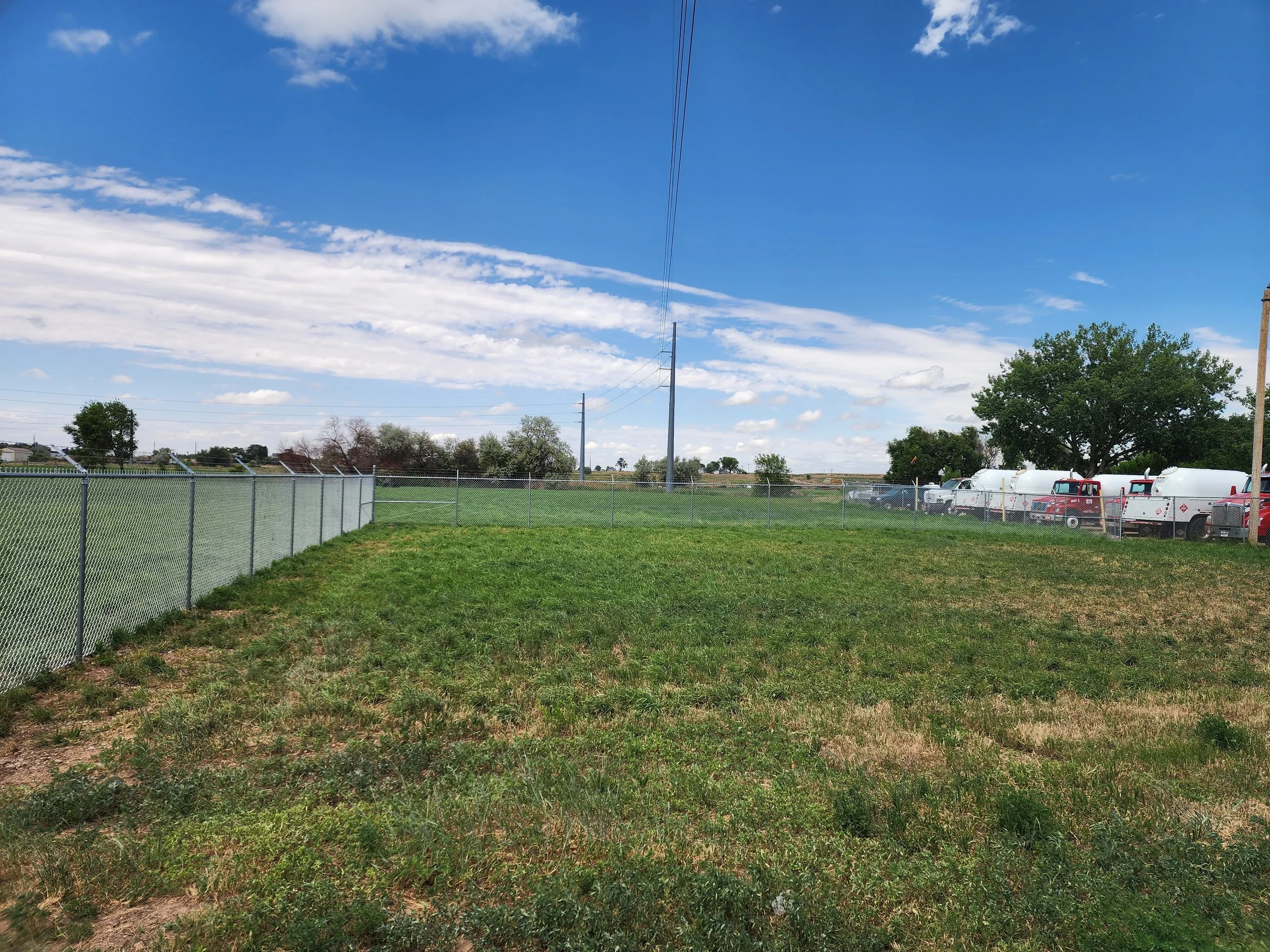 Open grassy field enclosed by chain-link fencing, with utility poles and power lines, trees in the background, and a blue sky with white clouds.