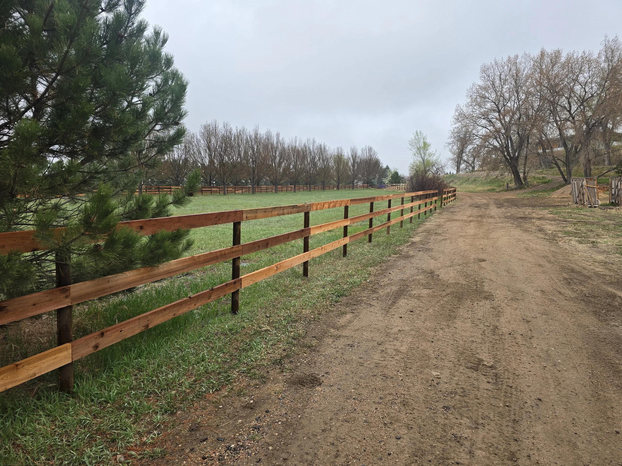 A dirt road runs adjacent to a wooden fence, with trees on either side and a cloudy sky overhead.