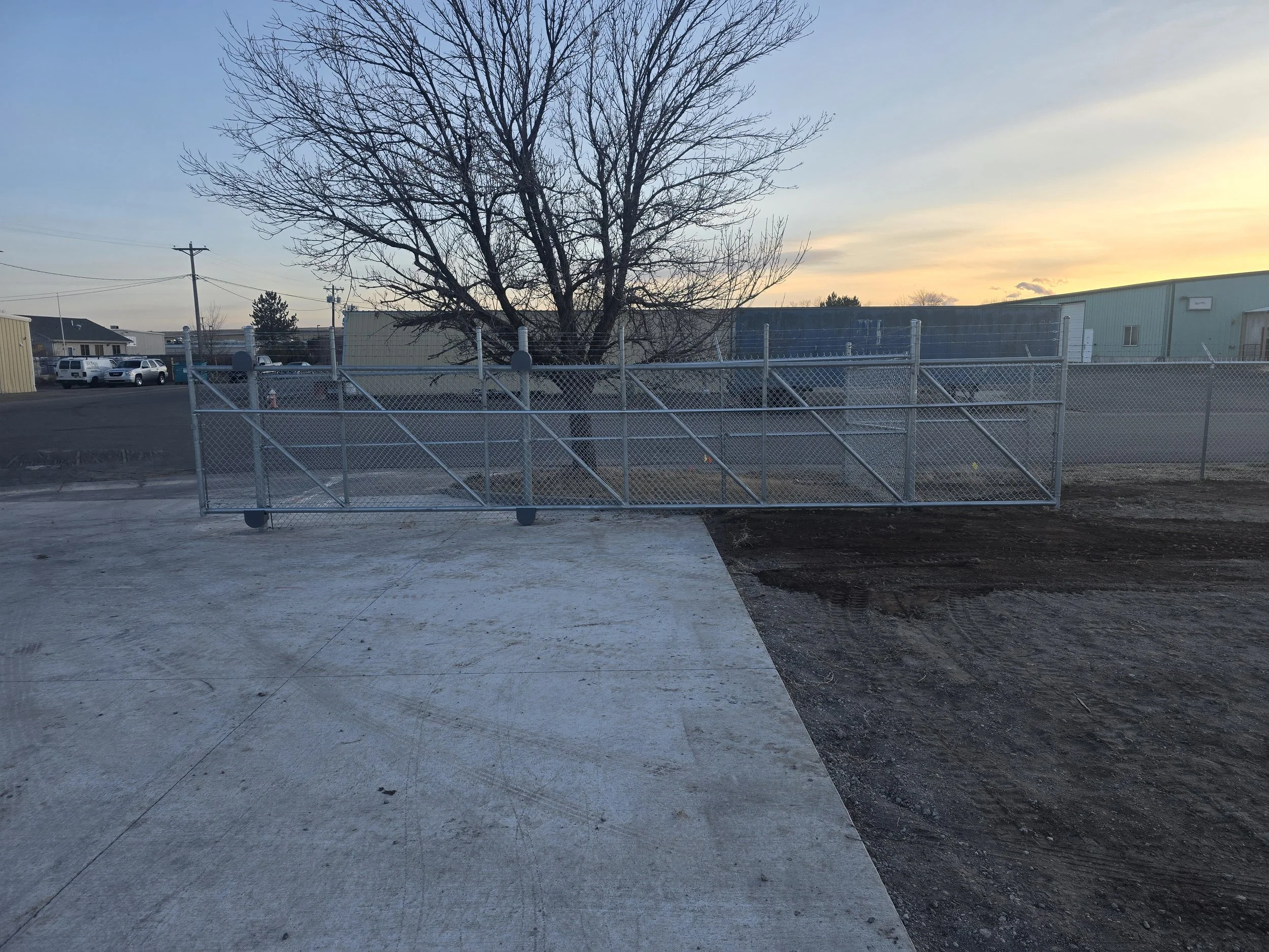 A tree without leaves in an industrial area at sunset, with a chain-link fence in the foreground and buildings and parked vehicles in the background.