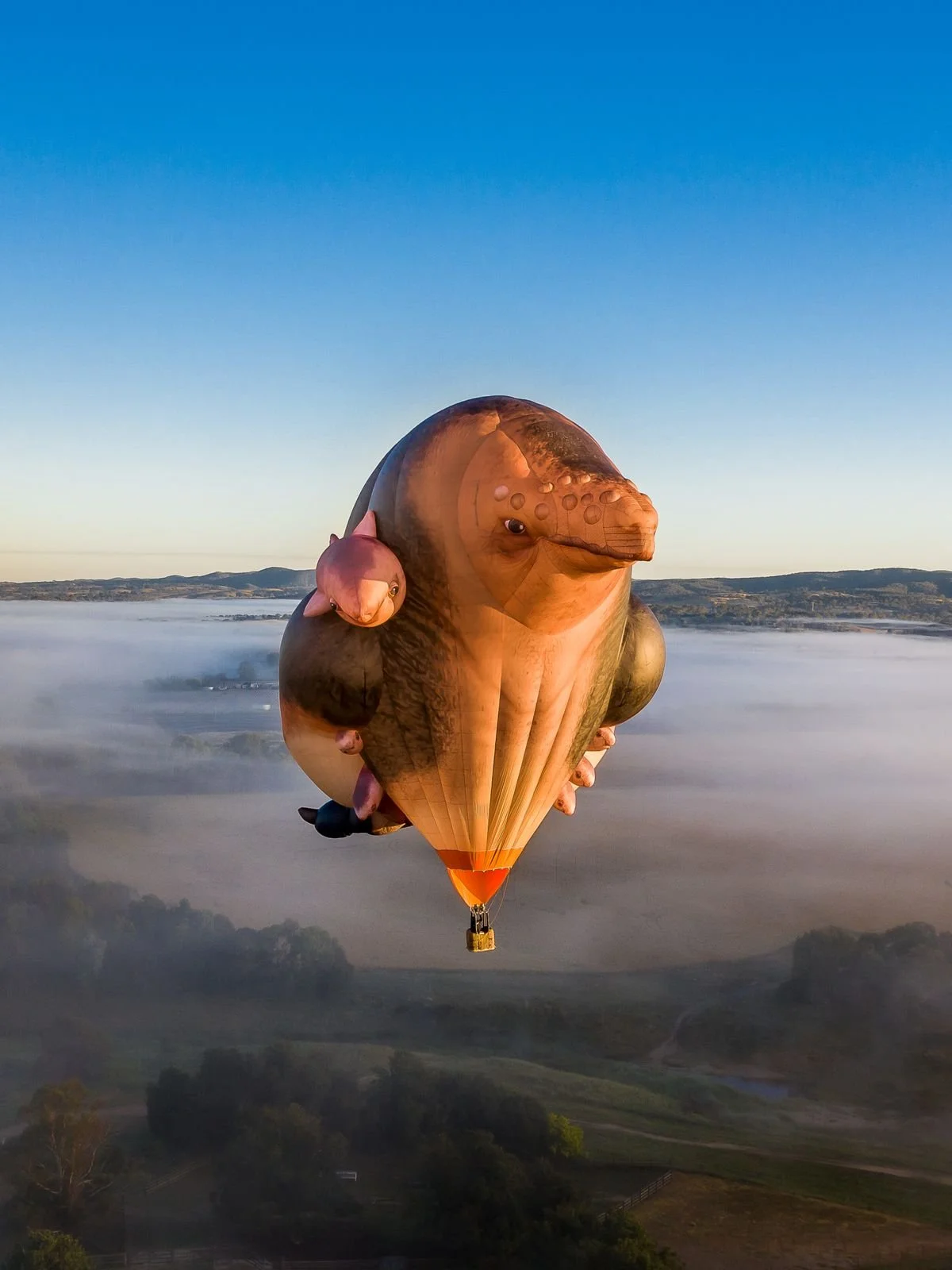 Skywhales Across Australia