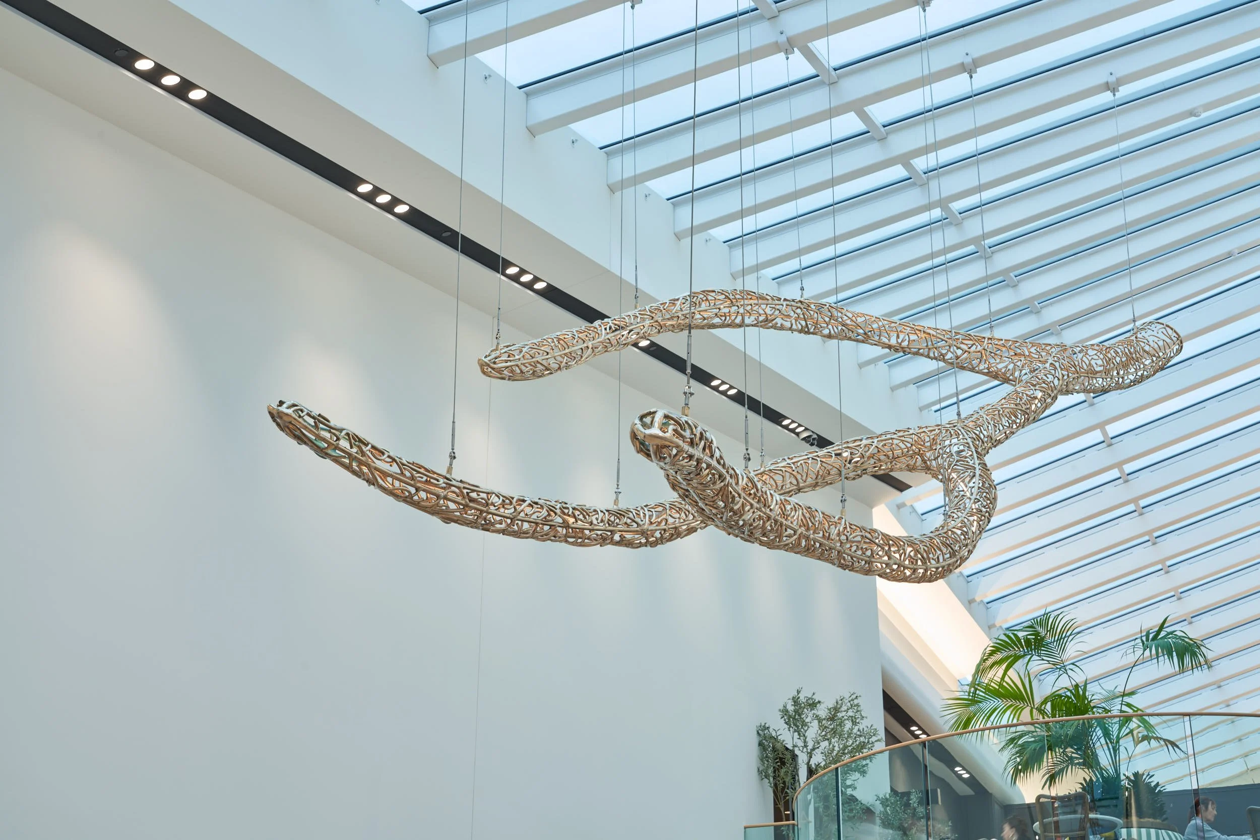 Image: Peter Syndicas, Celestial Life Form. Photograph Sam Roberts.