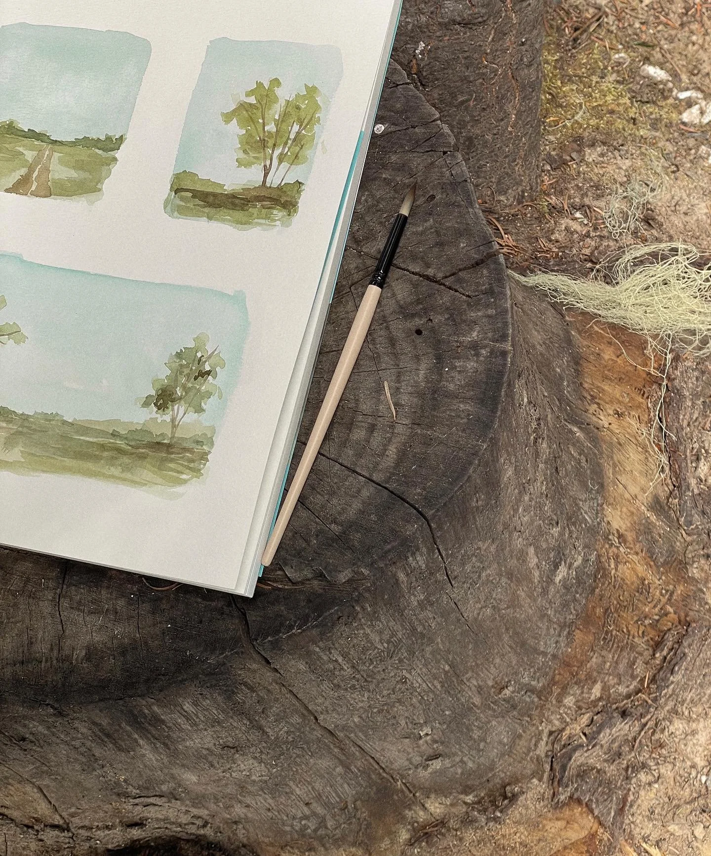 no service + a paint brush.
- a small moment in the sweet chaos of camping with a baby that my soul needed.