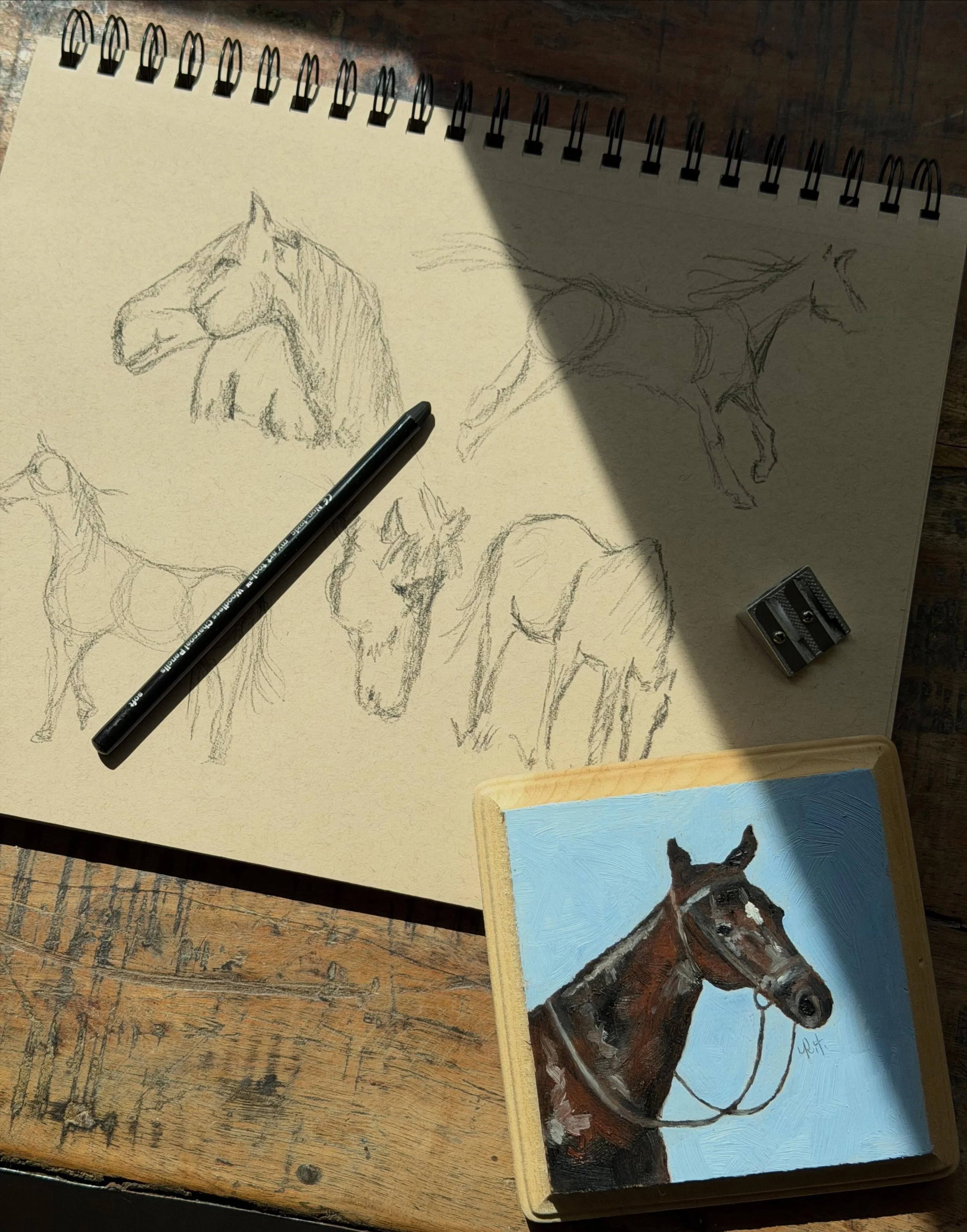 a study in movement, muscle, light, and instinct. 🐎 

been sketching with pencil and charcoal more lately, especially when I don&rsquo;t have the time or space to get the oil paints out, and it really fills me up just as much.