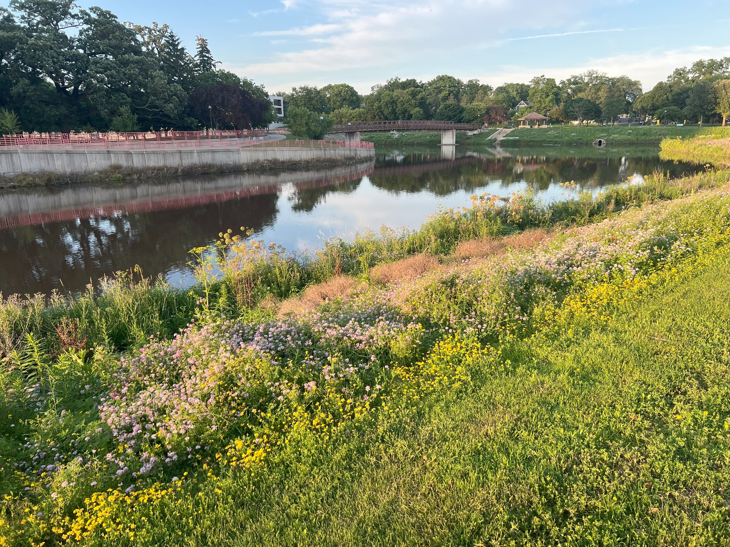 A peaceful river scene with a grassy embankment filled with colorful wildflowers in the foreground, a calm reflective river in the middle, and a park with trees, a bridge, and a small pavilion in the background, during a sunny day.