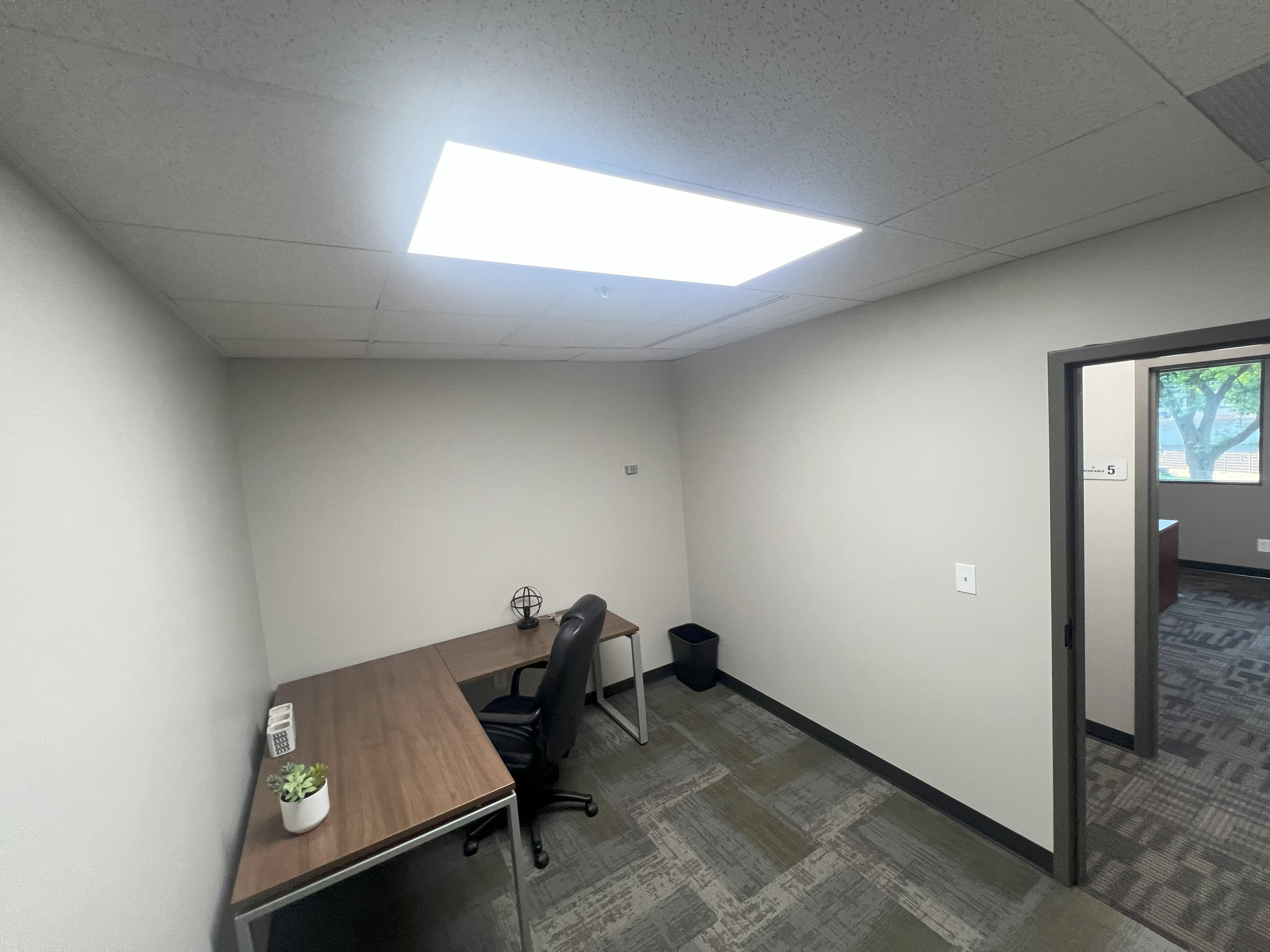Empty office with a wooden desk, black office chair, small plant, cell phone holder, white wall, bright ceiling light, and view of another room with window and tree outside.