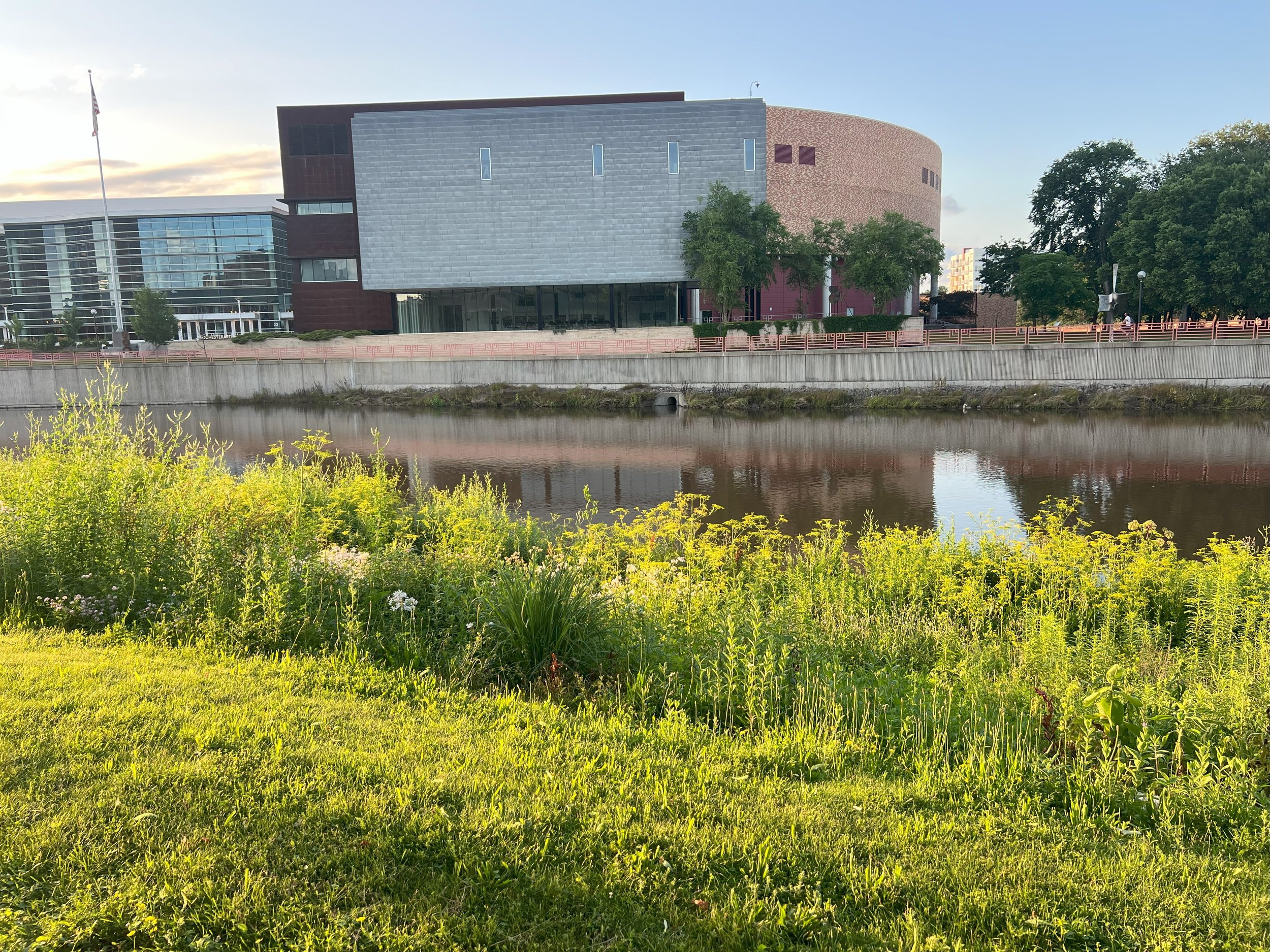 Modern building with curved architecture, glass and brick facade, situated along a river with green grass and wildflowers in the foreground, trees lining the riverbank, American flag on a flagpole, and a partly cloudy sky.