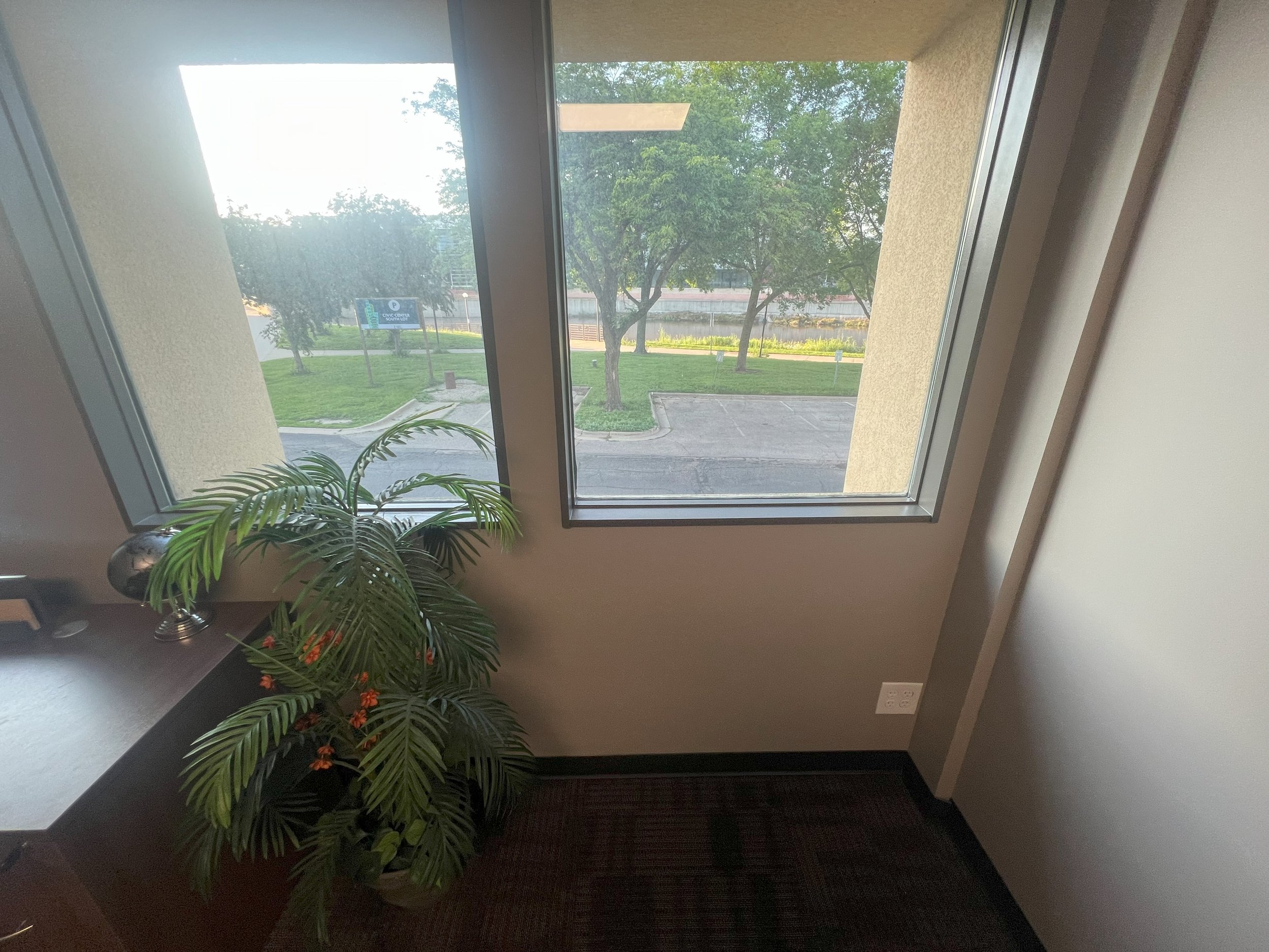 Office corner with a large window showing a parking lot and trees outside, a potted plant on a desk, and a dark carpeted floor.