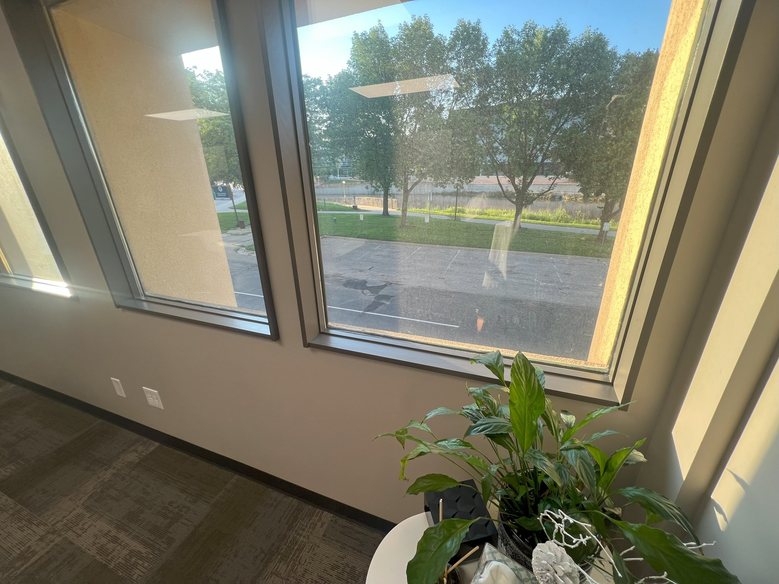 Office interior with large windows overlooking a parking lot and green trees, a potted plant on a white table in the foreground.