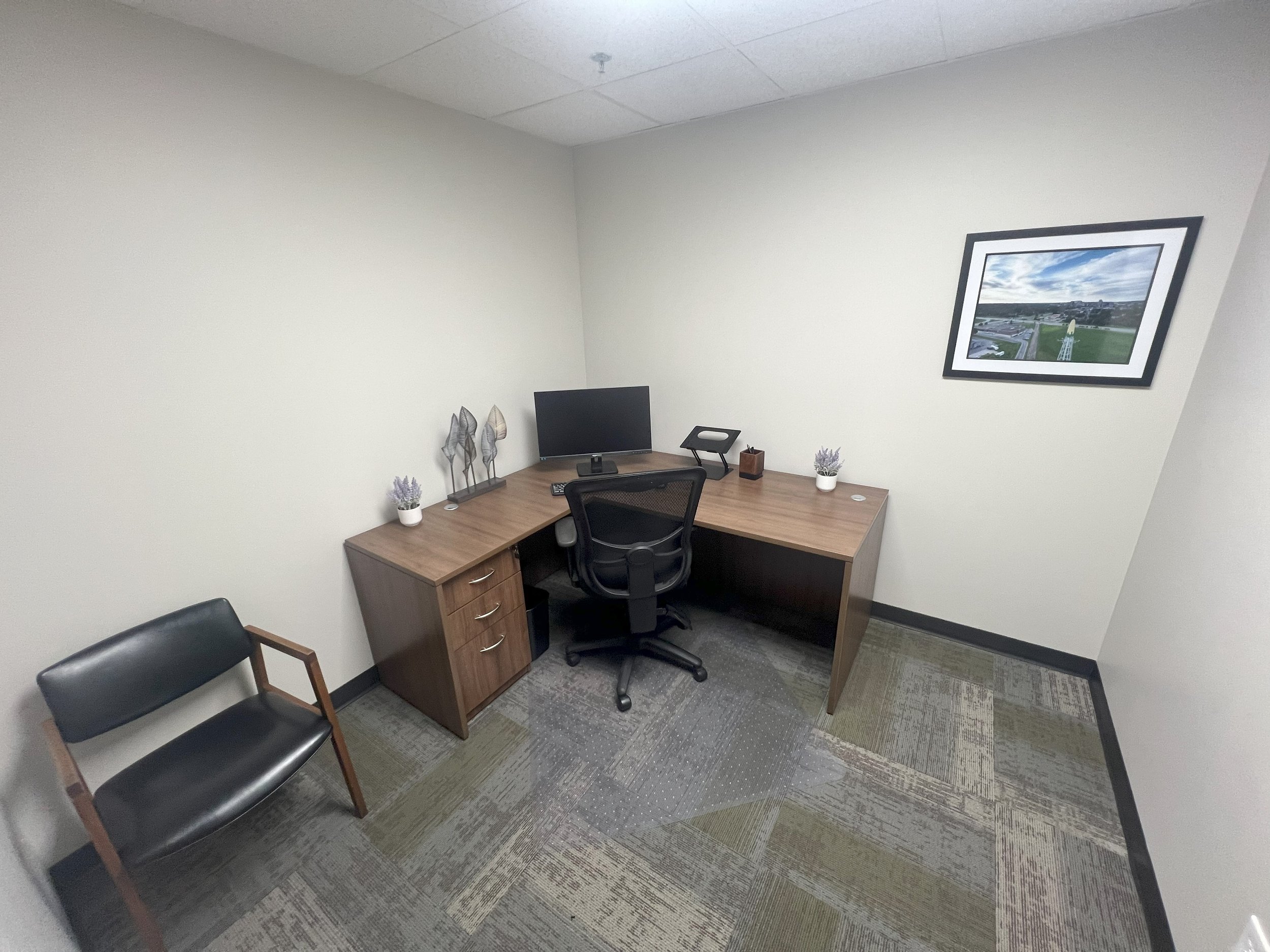 Empty office with a wooden desk, black office chair, black armchair, picture frame on the wall, and decorative plants.