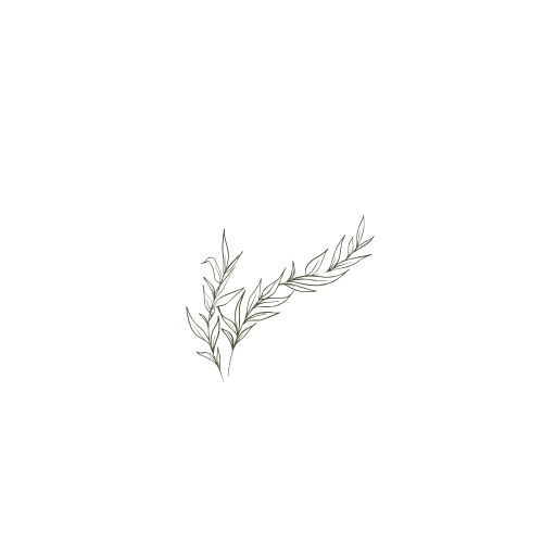 A minimalist black and white illustration of a muscular man in a tank top and shorts, lifting a barbell, with a sprig of green leaves in the foreground.