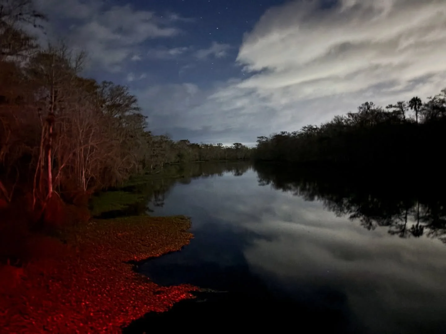 Anchored for the night on Hontoon Dead River&hellip;.completely surrounded by nature 🌴☁️

Escape to #OldFlorida and spend the night on the water aboard a Holly Bluff houseboat.

🔗 hollybluff.com
🗺️ MAP: link in bio! 
📞 (386) 822-9992
📍 2280 Hont