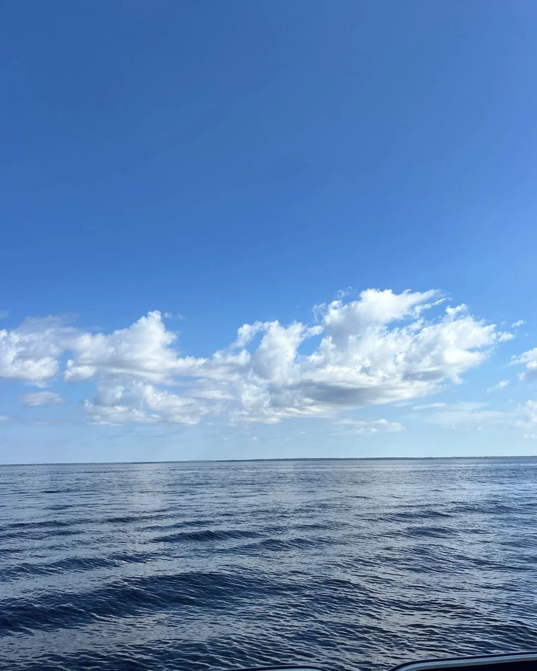 Lake George or the ocean?? 🌊 😳

Lake George is the second-largest lake in Florida, and nearby Silver Glen Spring pumps out millions of gallons of crystal-clear 72&deg; water daily.

Suzanne, a recent guest, shared:
&ldquo;SO GRATEFUL!! If you need 