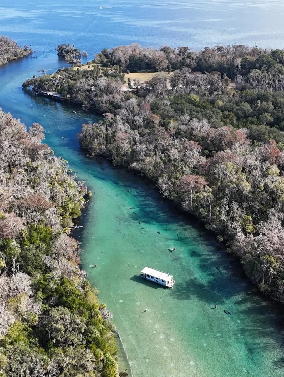 Woke up in paradise. 🌴

You can plan your houseboat route with our interactive destinations map &mdash; showing springs, sandbars, and hidden Old Florida spots along the St. Johns River.

Check it out 🗺️ https://hollybluff.com/river-destinations

Q