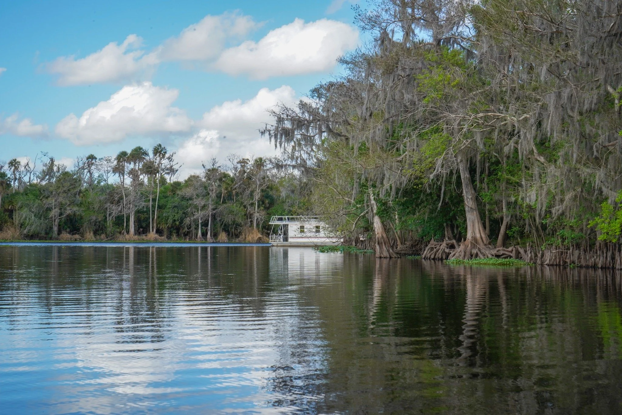 Tucked away in a quiet cove on the St. Johns River&hellip;. it&rsquo;s paradise. 

Use the online map to explore anchorage spots you can visit during your houseboat adventure. 🗺️ https://hollybluff.com/river-destinations

📍2280 Hontoon Rd Deland, F
