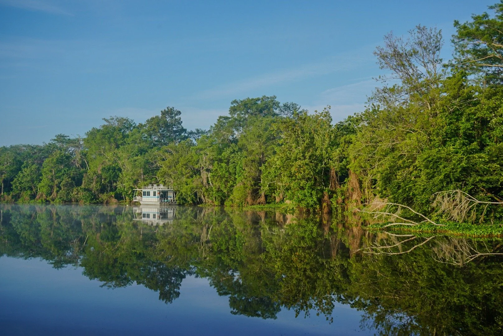 Unplugged. 

Florida houseboat rentals ➜ hollybluff.com

📍 Holly Bluff Resort Marina on the St. Johns River 

 #camplife #AQuietPlace #traveltips #oldflorida #houseboat #stjohnsriver #naturelovers #lovefl #travel #summertips