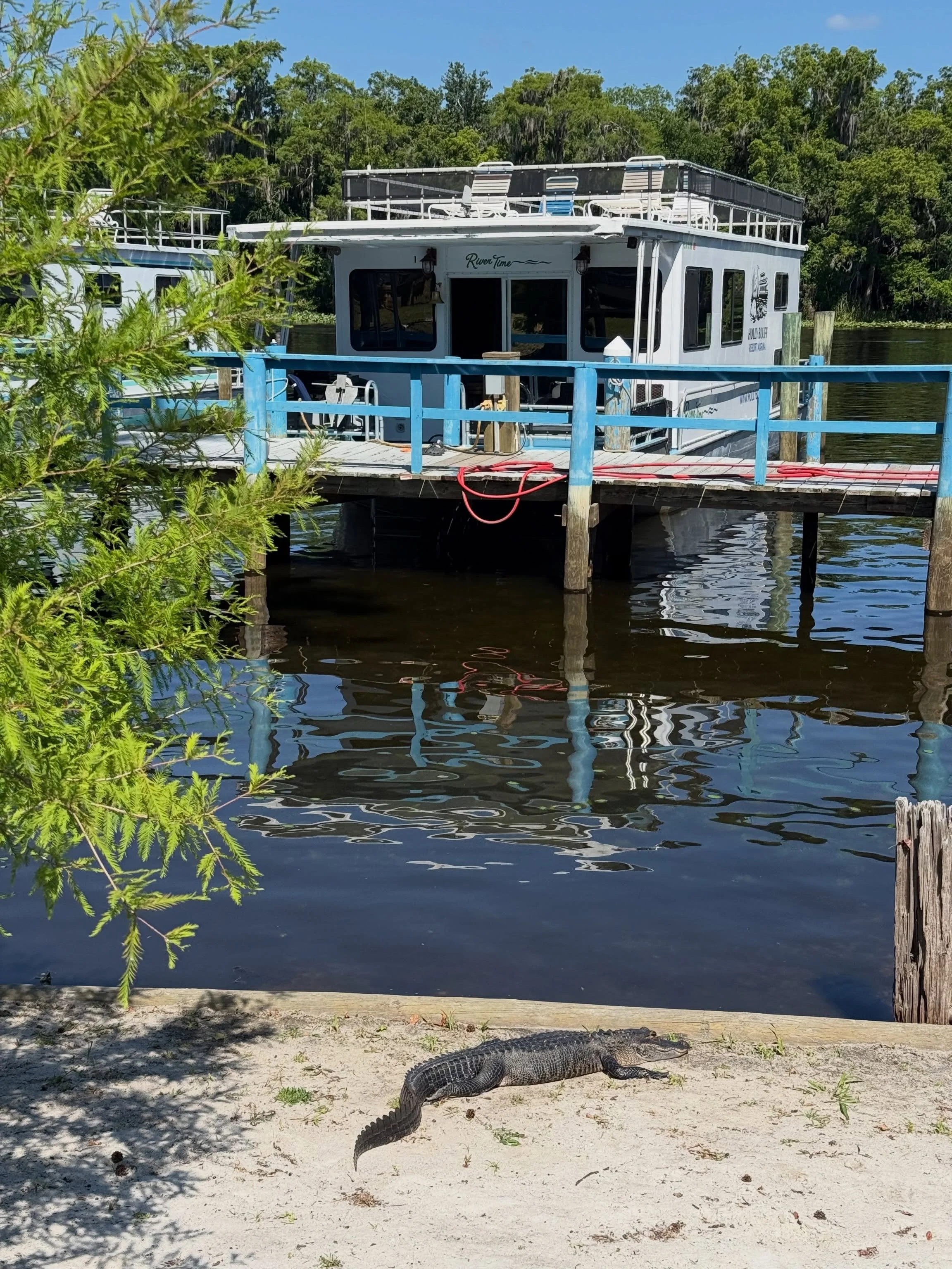 Our neighbor is ready to welcome our Friday guests 🐊

See y&rsquo;all soon!