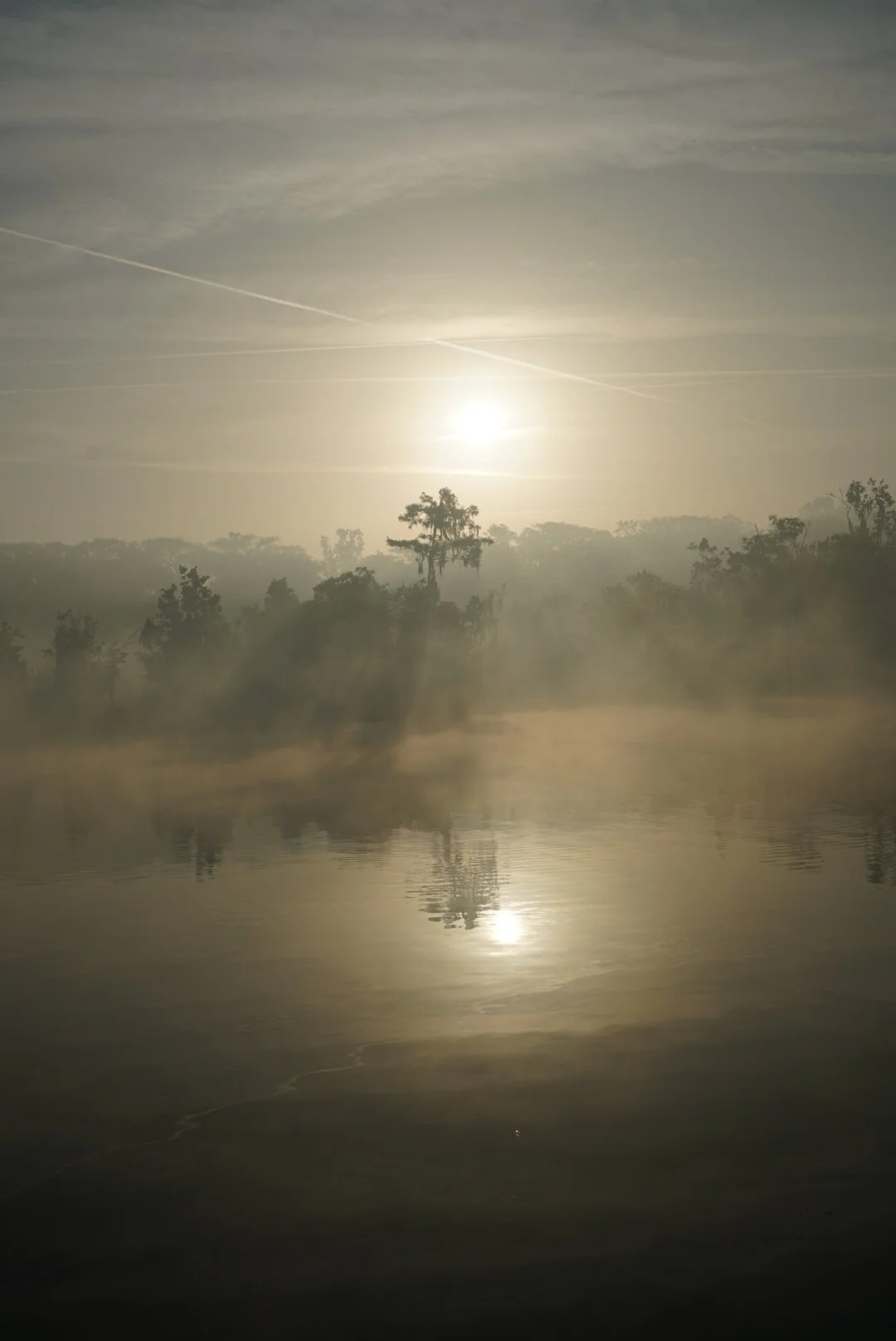 Photo: Erin Paulakovich