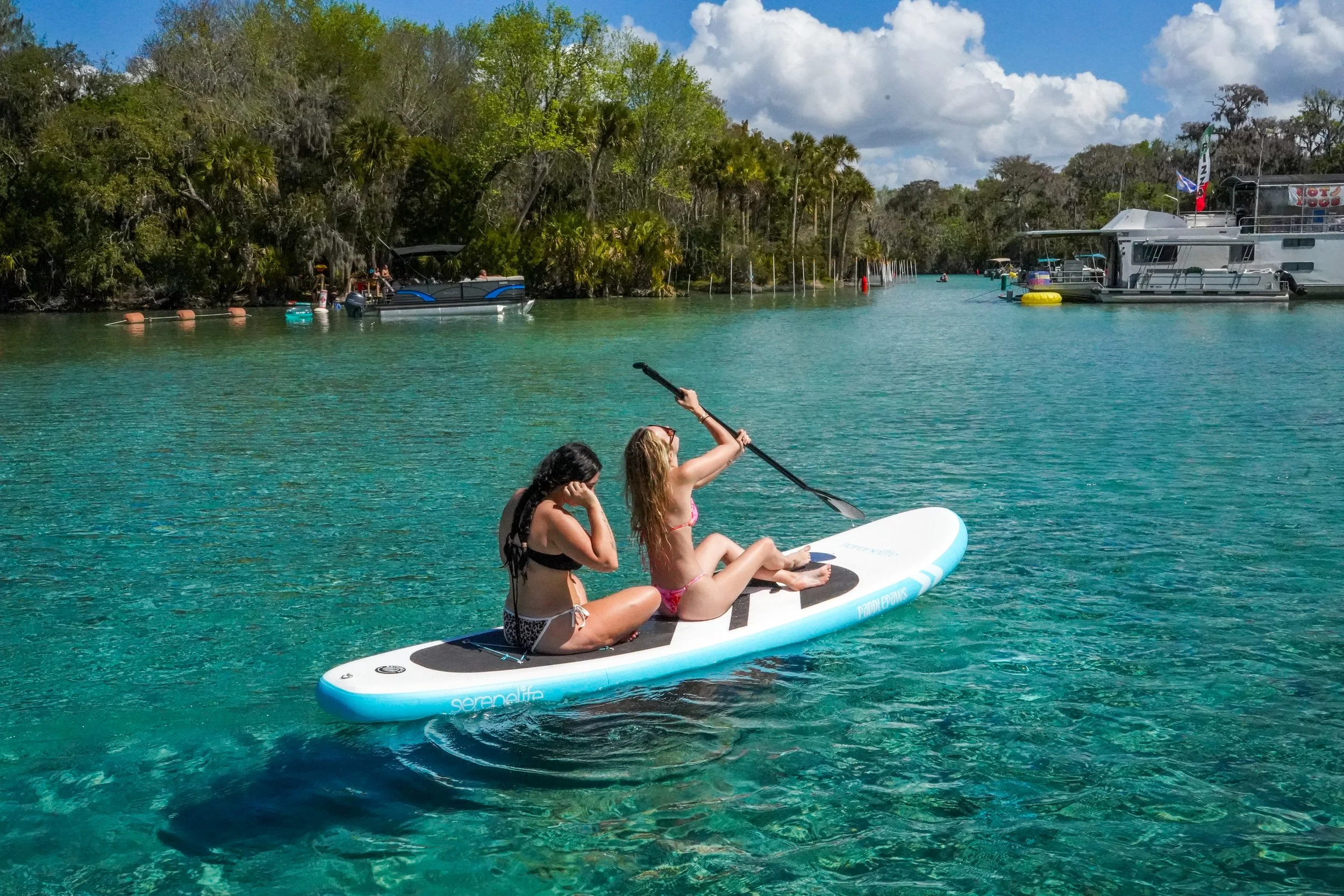 Paddle Board Rentals Holly Bluff