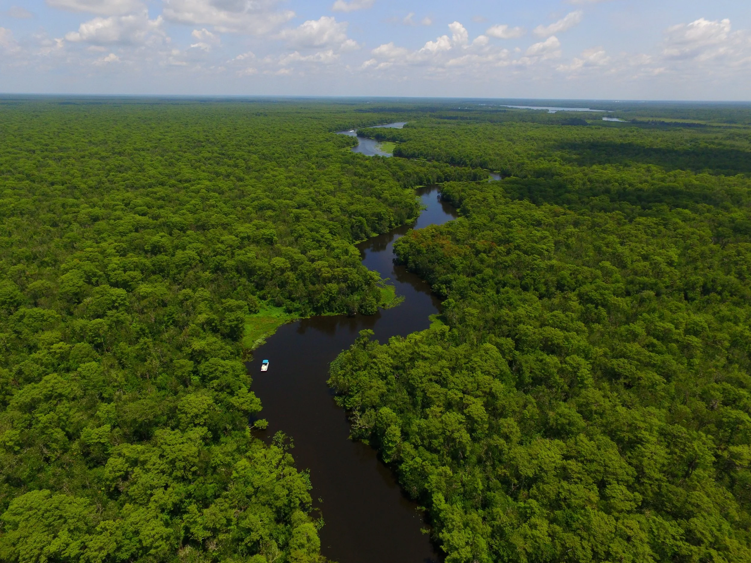 Birds eye view of Hontoon Dead River!