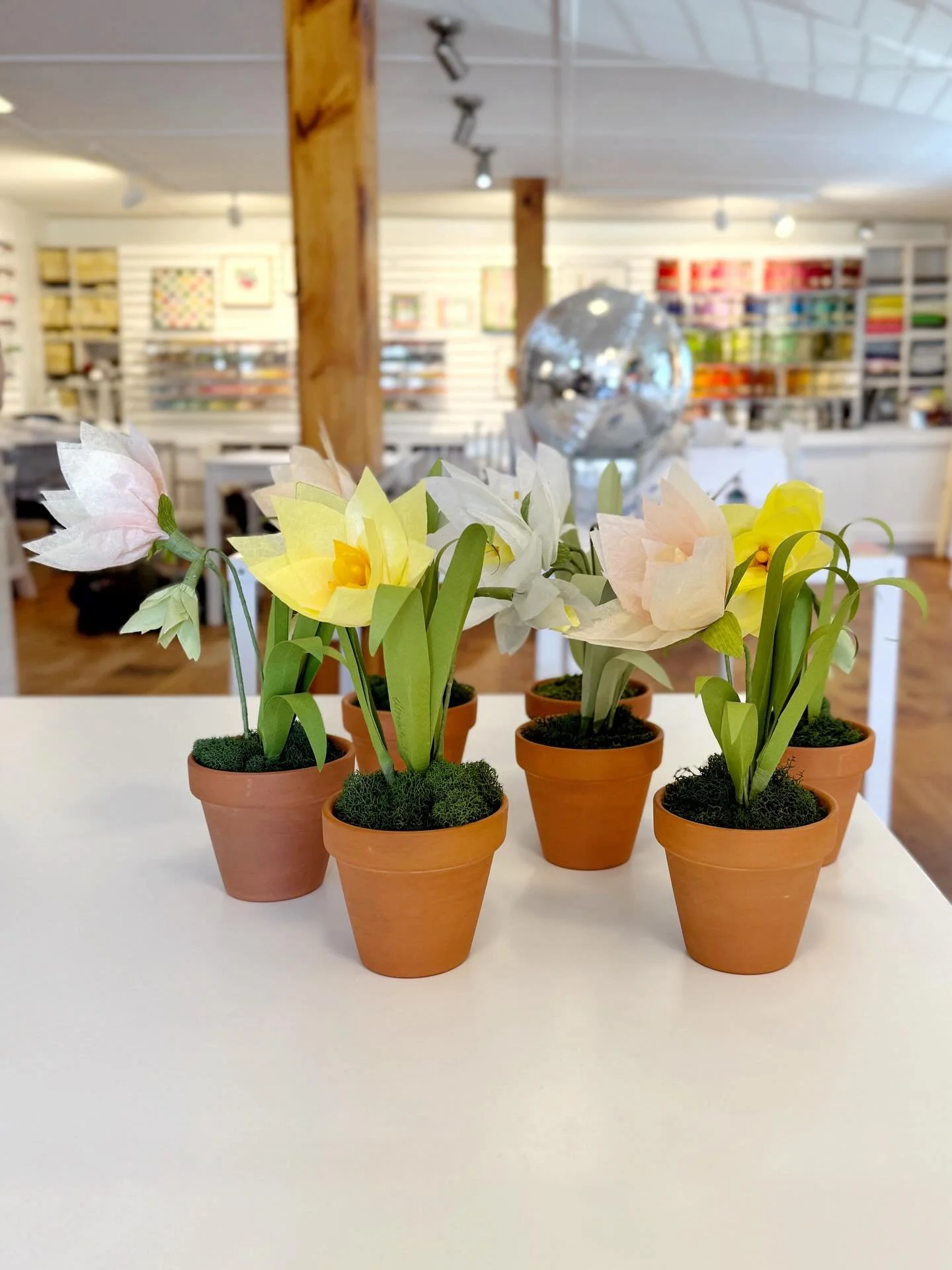 we welcomed spring in the shop today in the most perfect way!
💛🌼✨

daffodils symbolize new beginnings, hope, the arrival of spring, and the reopening of the shop! thank you to Meghan @thegreenpaperflower for sharing her talents and teaching us how 