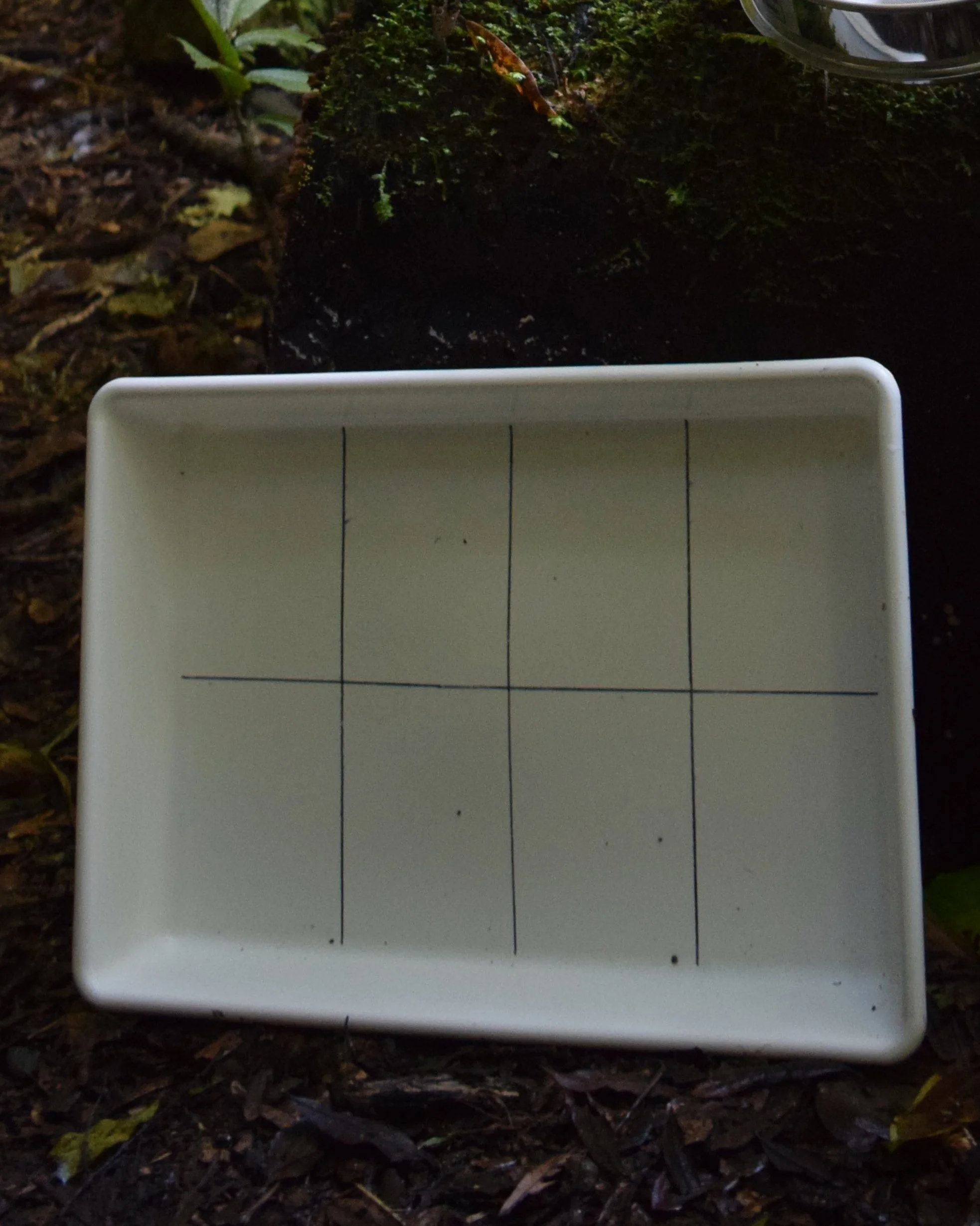 White Sorting Tray