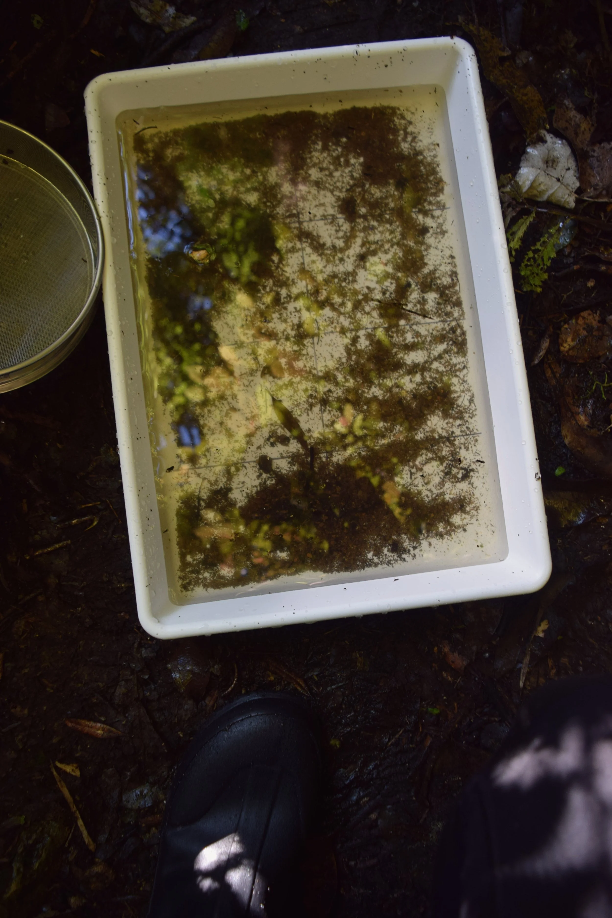 Combined subsamples ready for Jarring