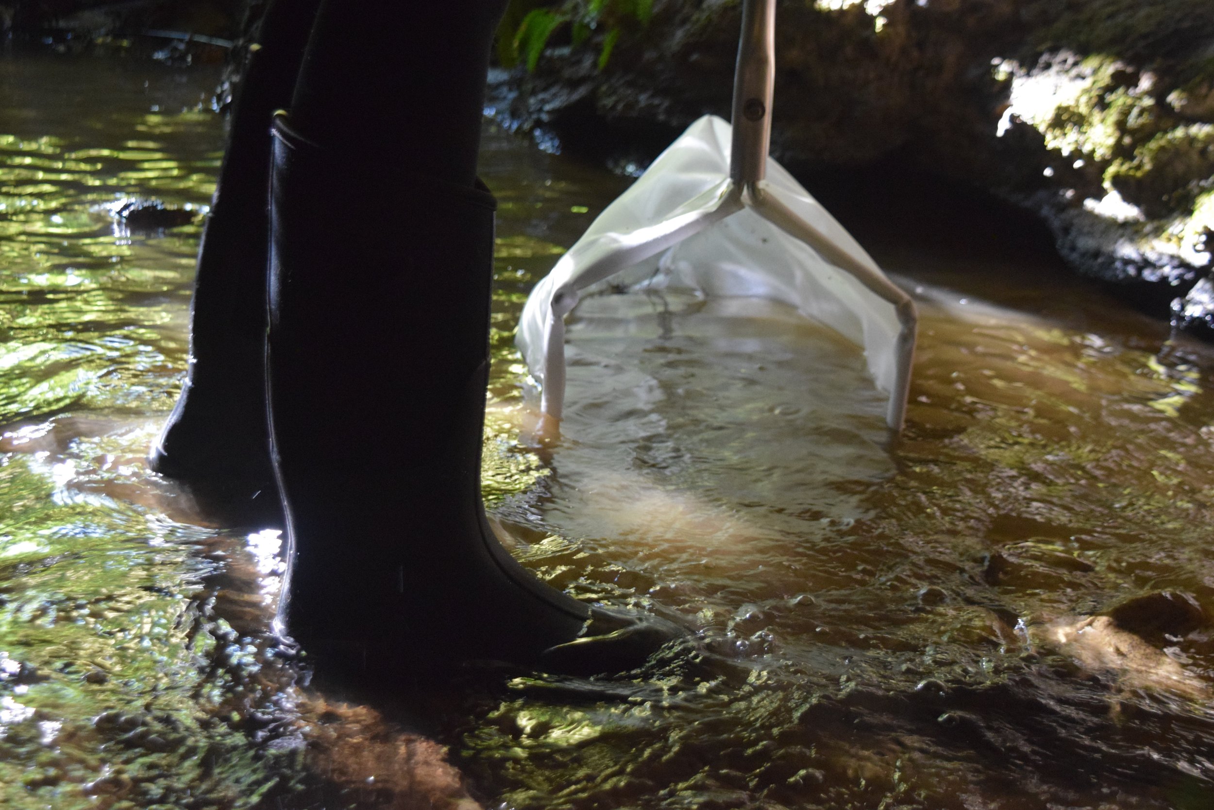 Kicking upstream of the net 